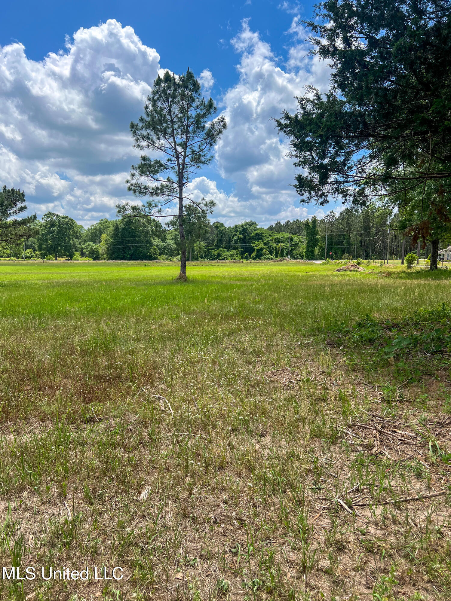 2 Ac Albert Davis Road, Lucedale, Mississippi image 7