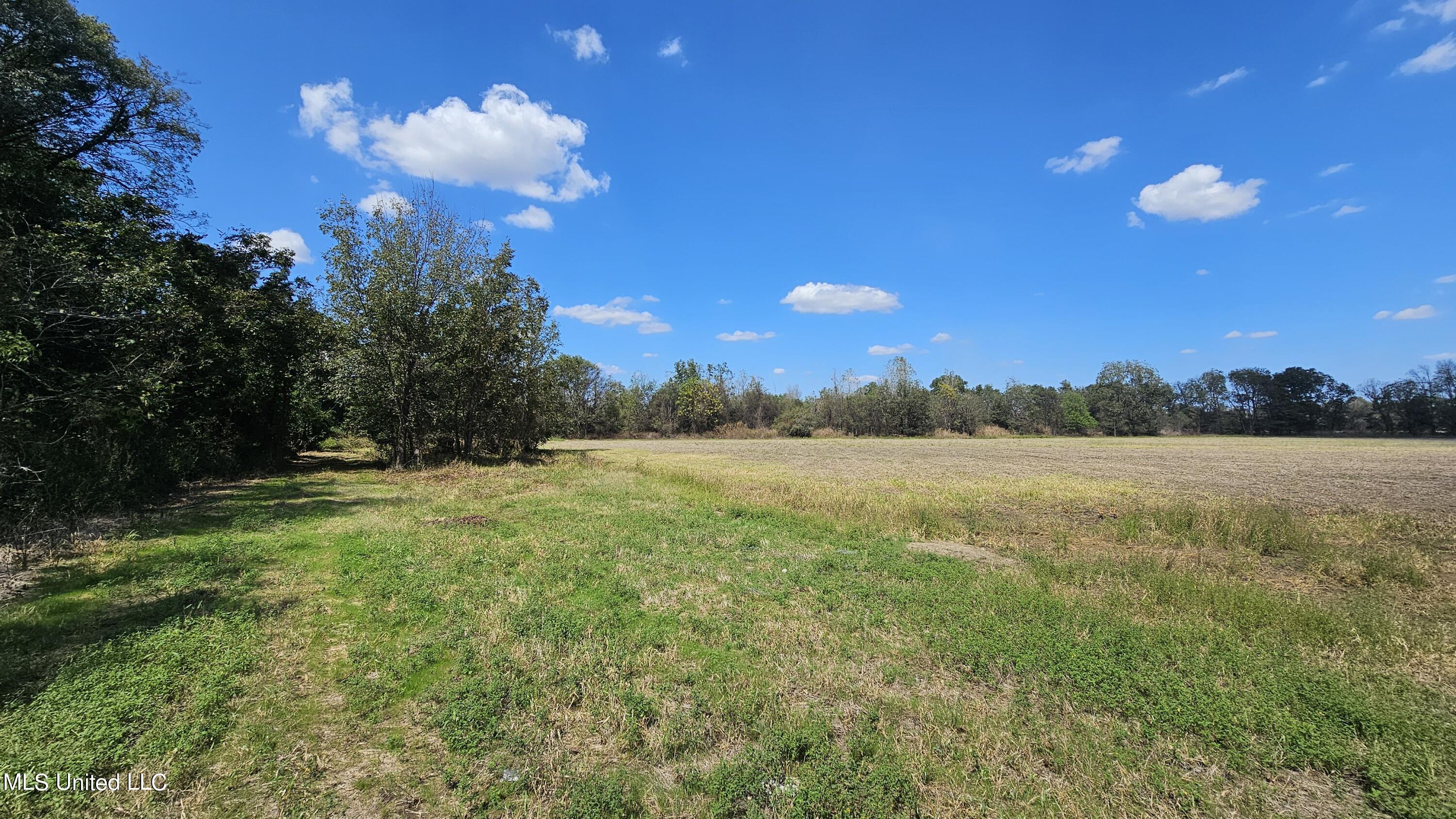 W Gresham Road, Indianola, Mississippi image 5