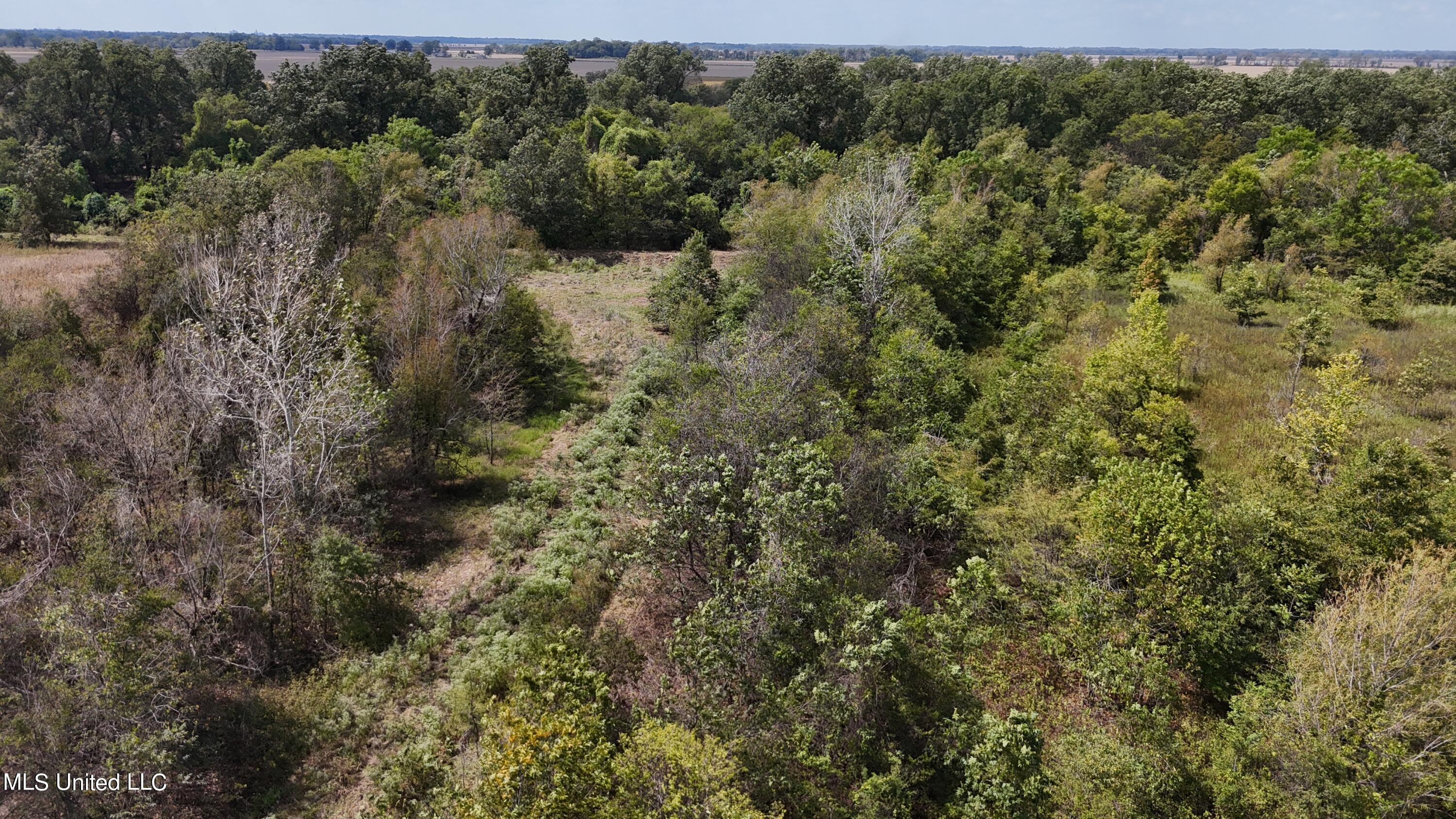 W Gresham Road, Indianola, Mississippi image 9