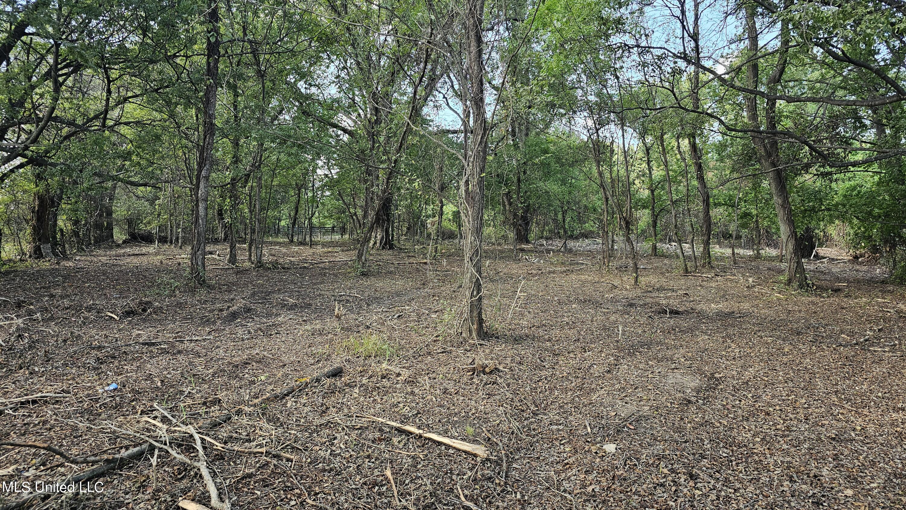 W Gresham Road, Indianola, Mississippi image 3