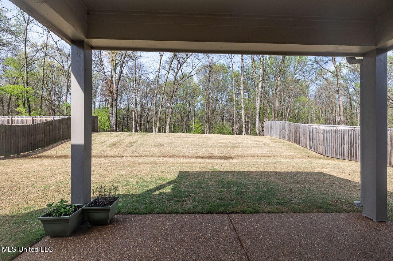 1155 Pettigrew Drive, Hernando, Mississippi image 20