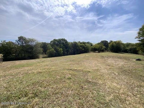 Vacant Land For Sale - Hunters Chapel Road<br/> Sarah, MS 38665