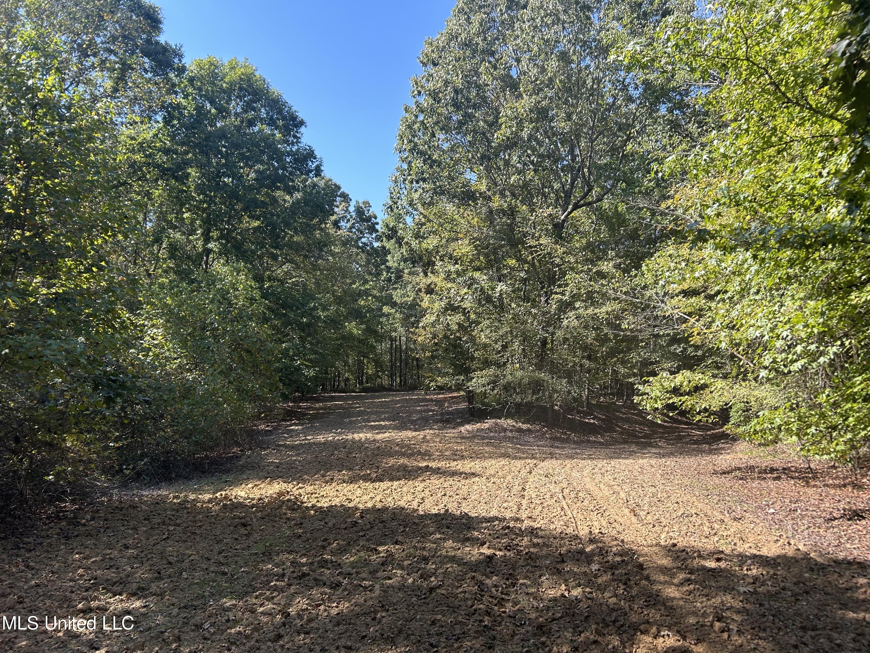 Hunter Creek Road, Oakland, Mississippi image 1