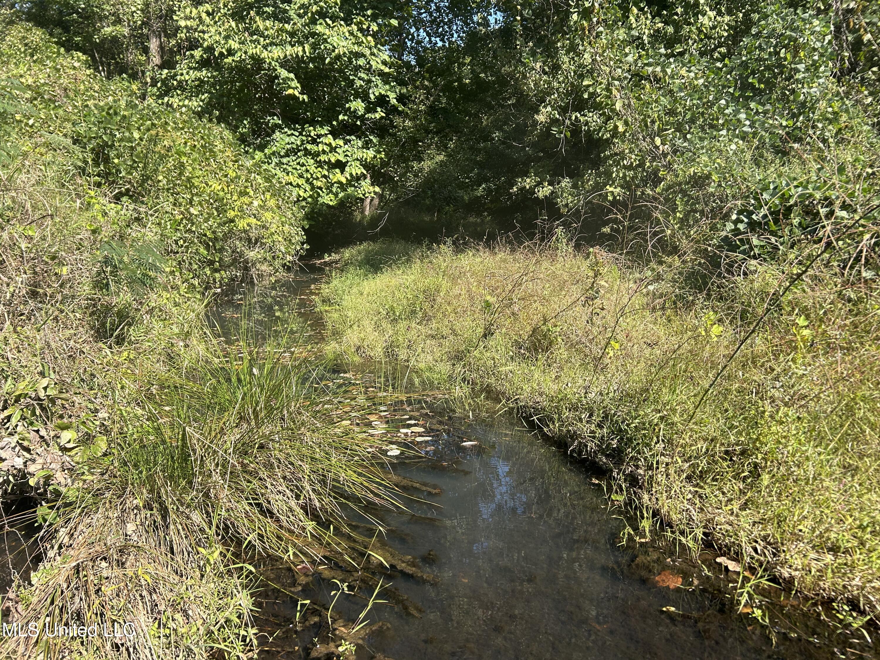 Hunter Creek Road, Oakland, Mississippi image 46