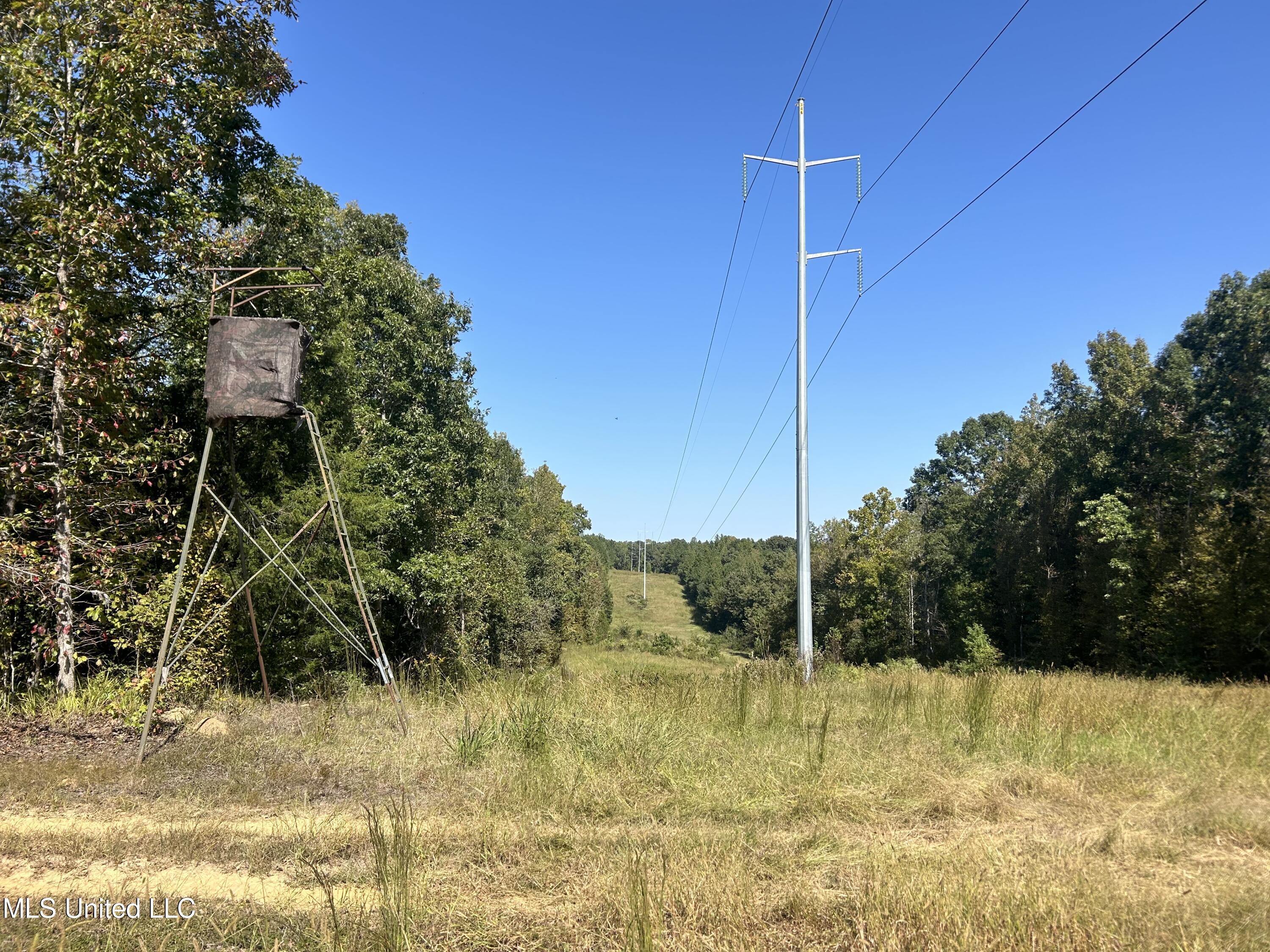 Hunter Creek Road, Oakland, Mississippi image 33