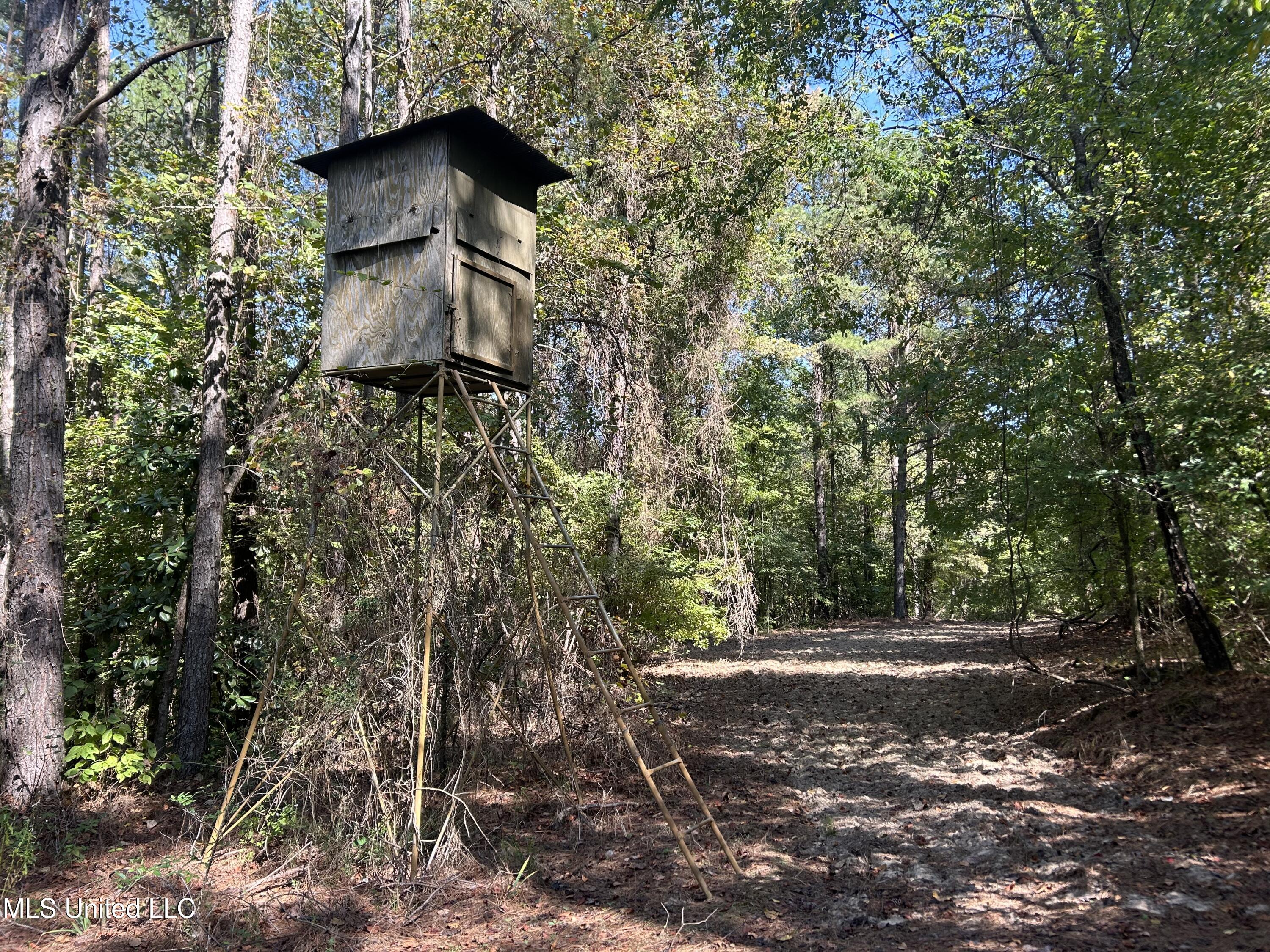 Hunter Creek Road, Oakland, Mississippi image 29