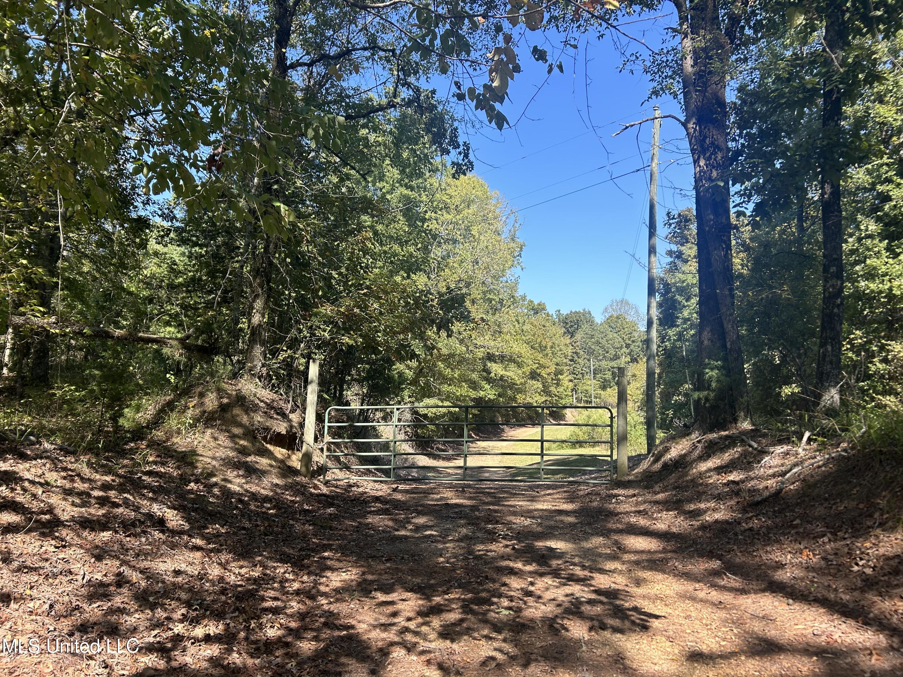 Hunter Creek Road, Oakland, Mississippi image 5