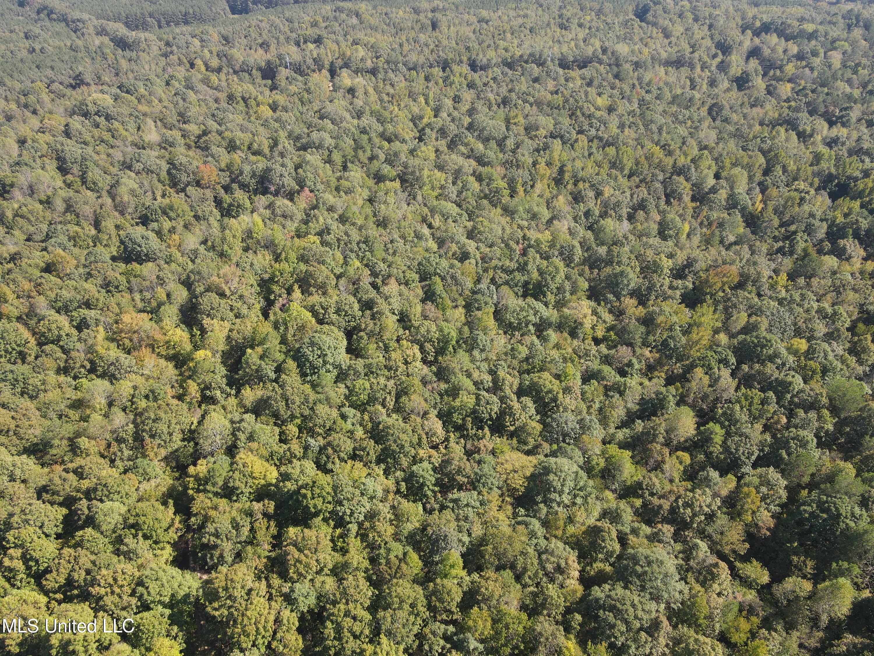 Hunter Creek Road, Oakland, Mississippi image 3