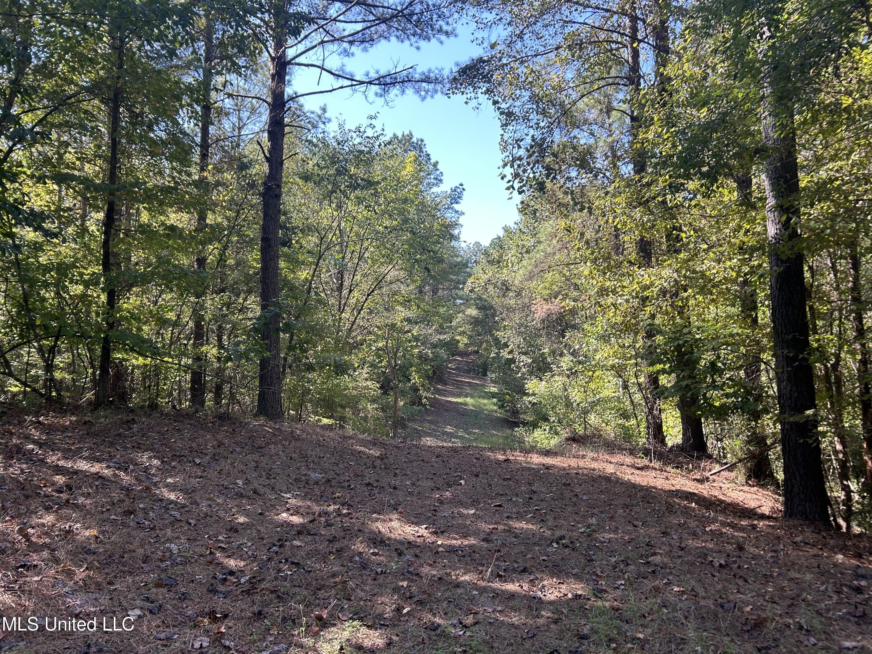 Hunter Creek Road, Oakland, Mississippi image 30