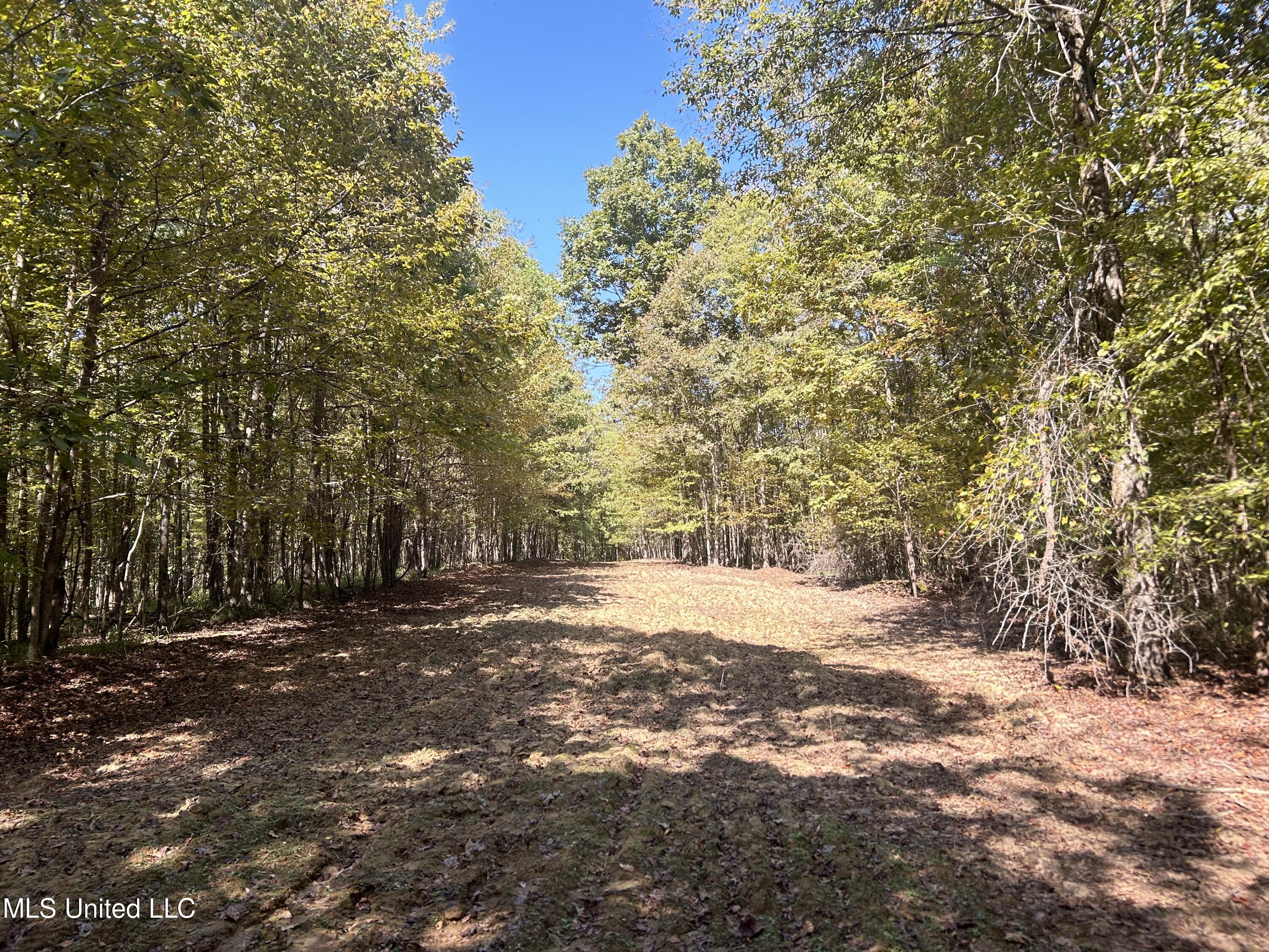 Hunter Creek Road, Oakland, Mississippi image 32