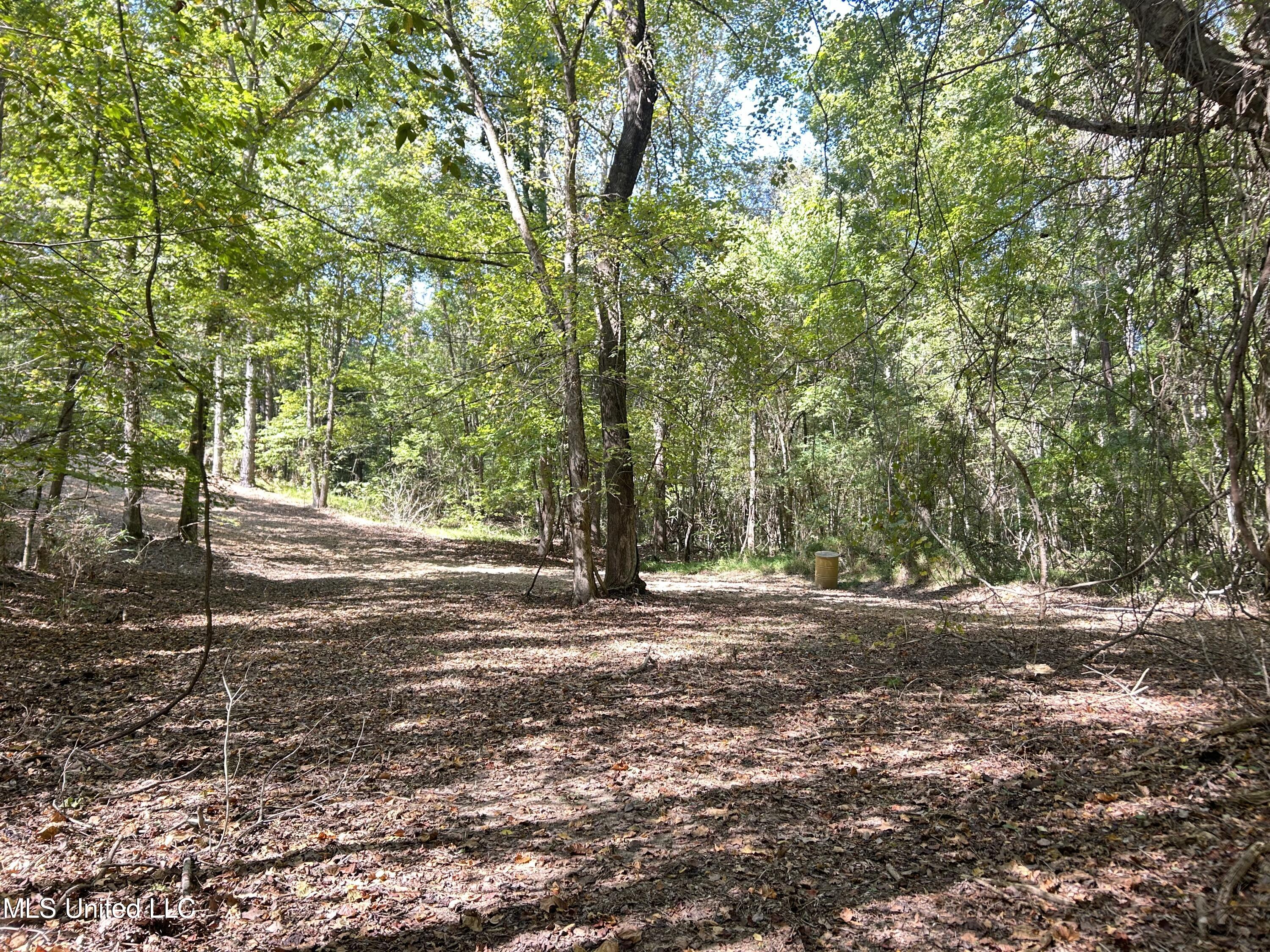 Hunter Creek Road, Oakland, Mississippi image 31