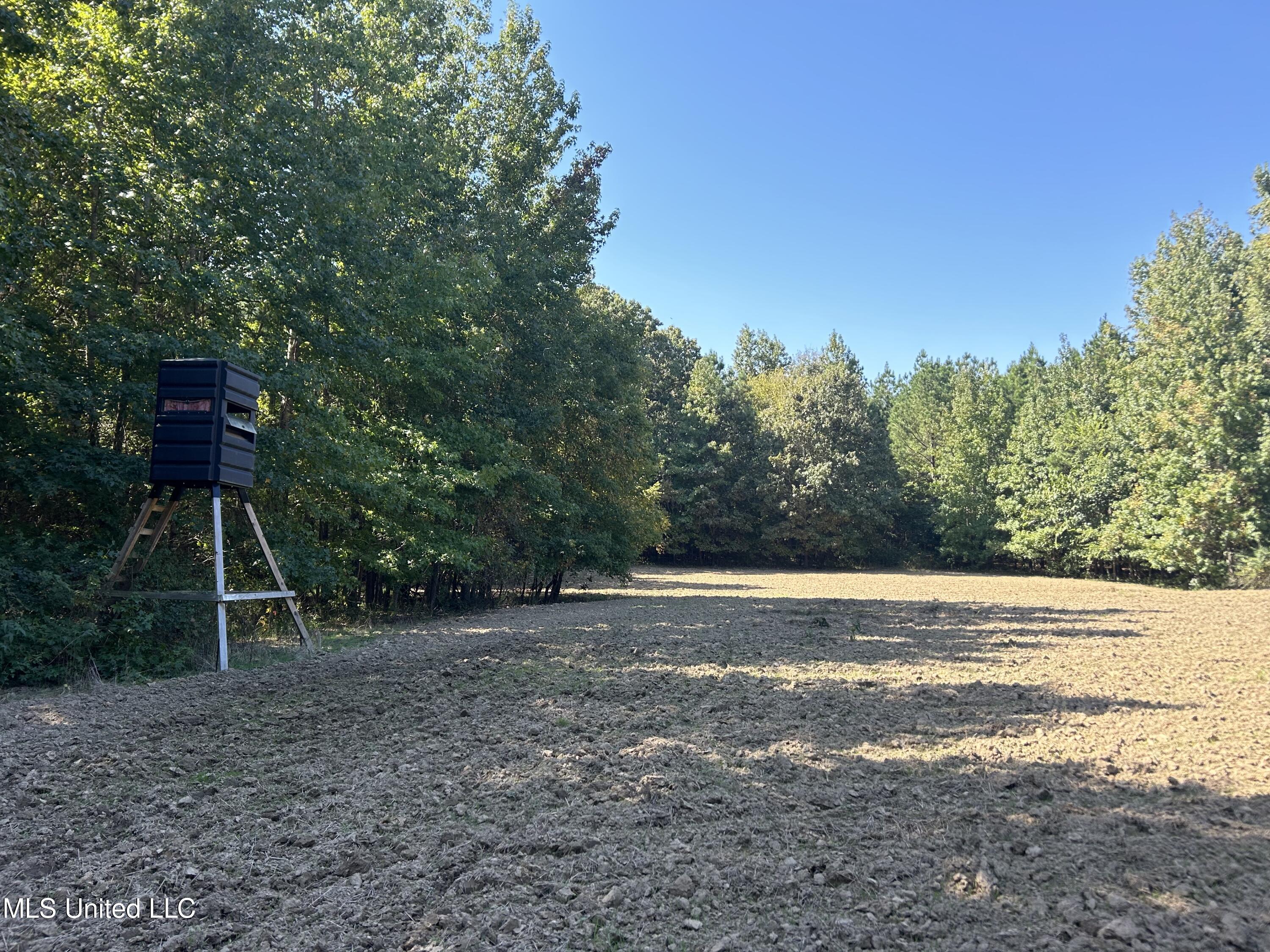 Hunter Creek Road, Oakland, Mississippi image 38