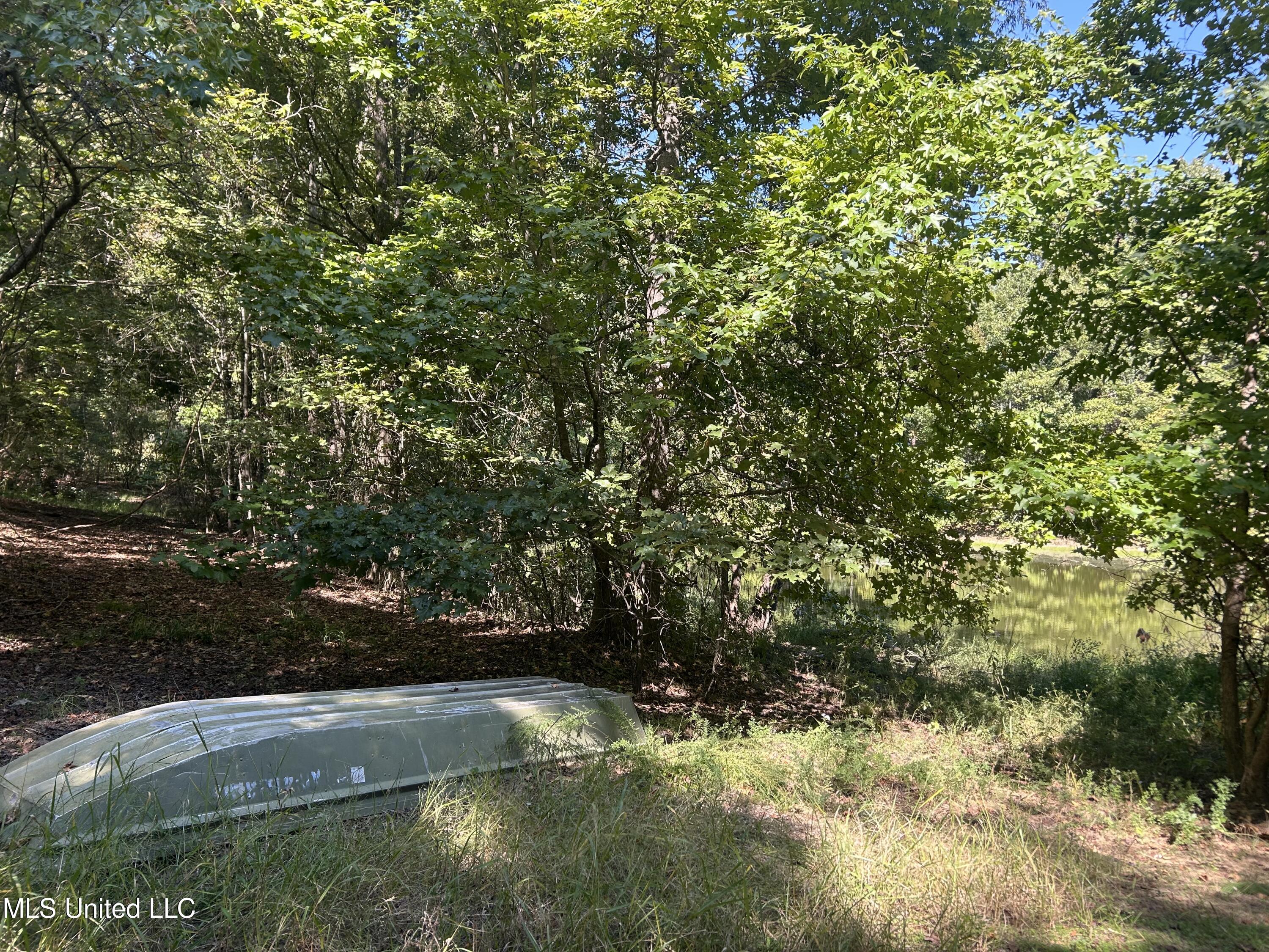 Hunter Creek Road, Oakland, Mississippi image 41