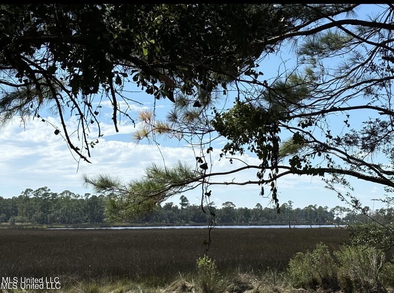 3024 Magnolia Lane, Ocean Springs, Mississippi image 4
