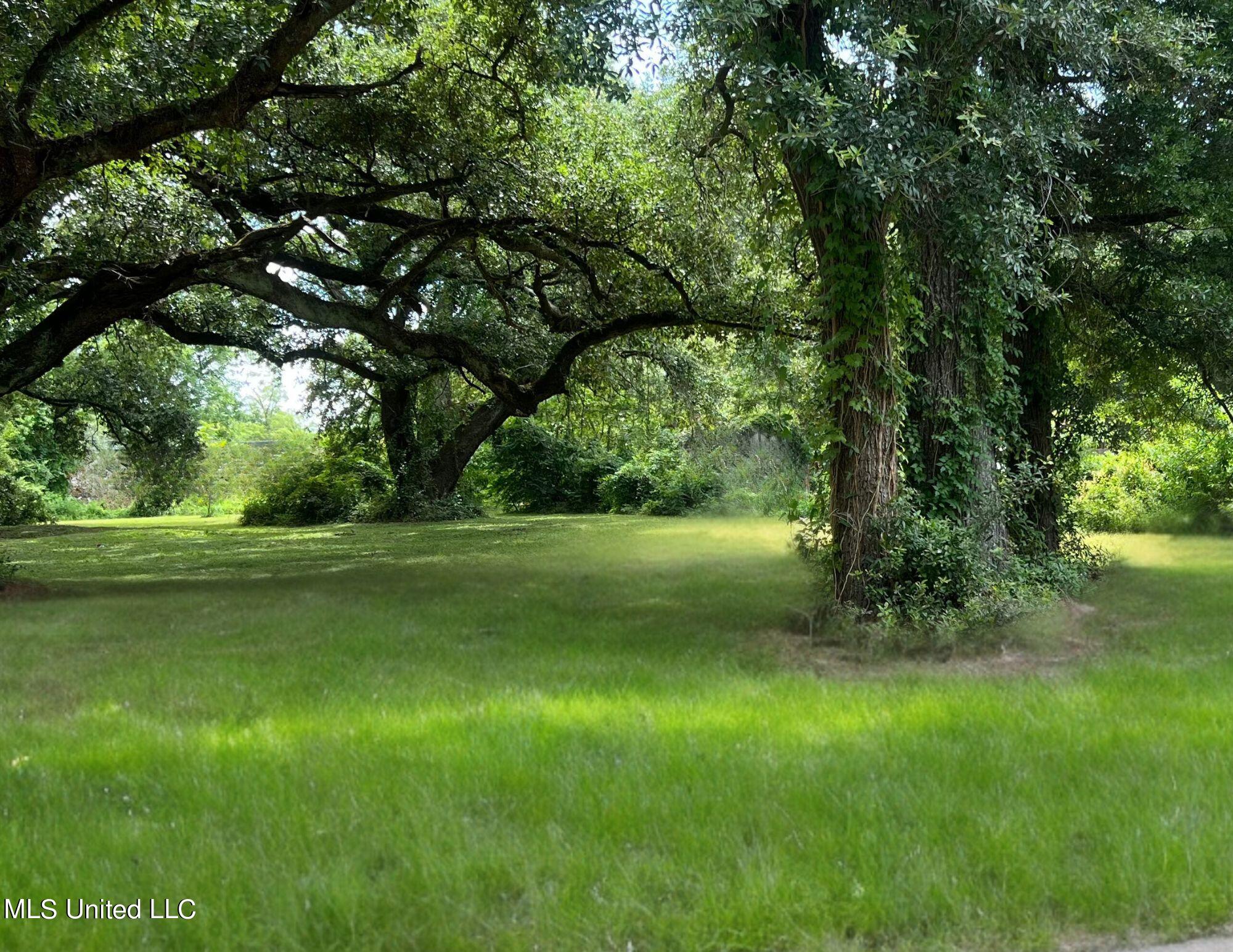 Fournier Avenue, Gulfport, Mississippi image 2