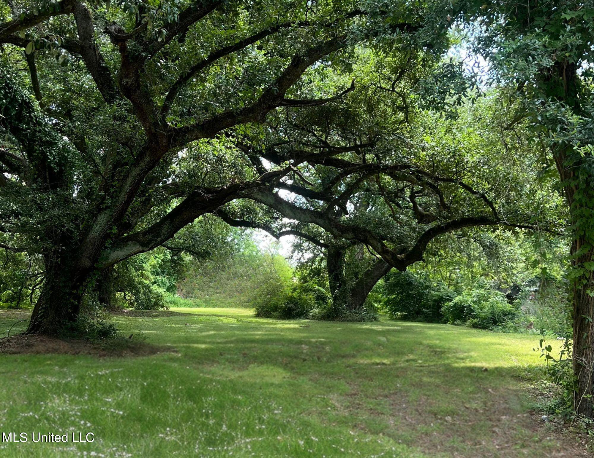 Fournier Avenue, Gulfport, Mississippi image 1