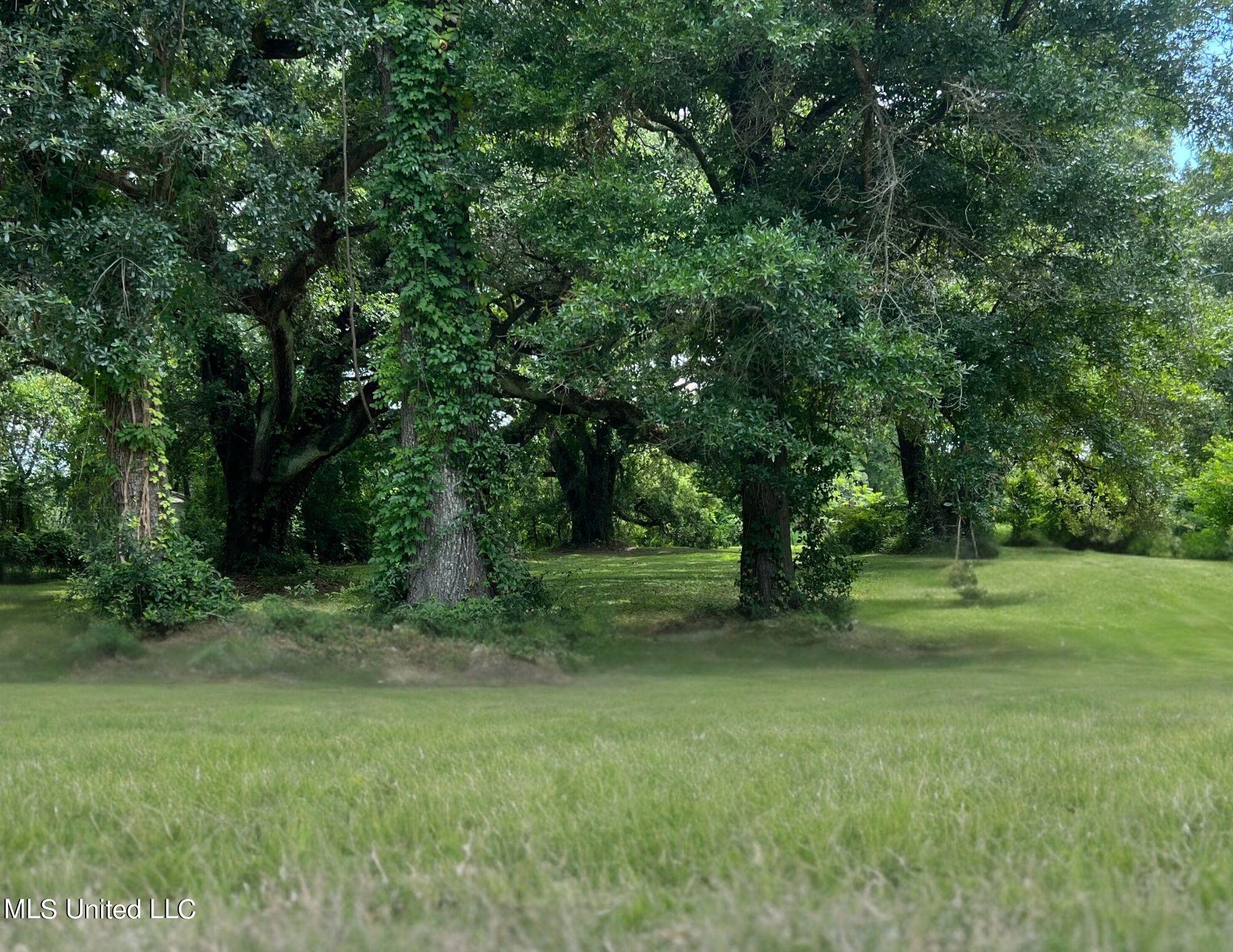 Fournier Avenue, Gulfport, Mississippi image 3