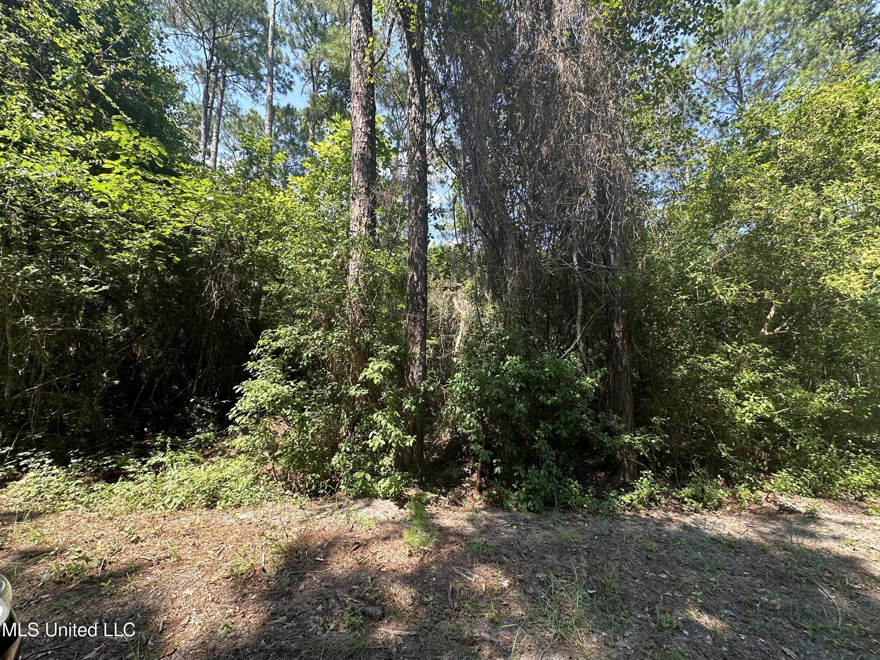 Lot 2633 Sycamore Street, Ocean Springs, Mississippi image 2