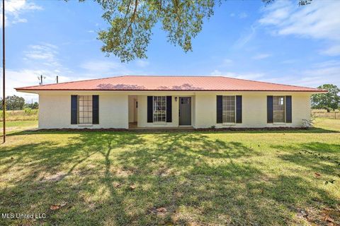 Homes For Sale - 439 New Hope Road<br/> Simpson County, Mount Olive, MS 39119