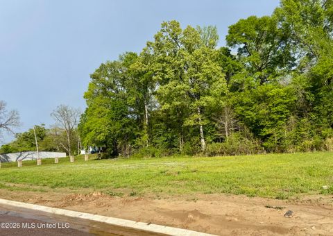 Vacant Land For Sale - 00 Plainview Dr Lot 2<br/> Warren County, Vicksburg, MS 39180