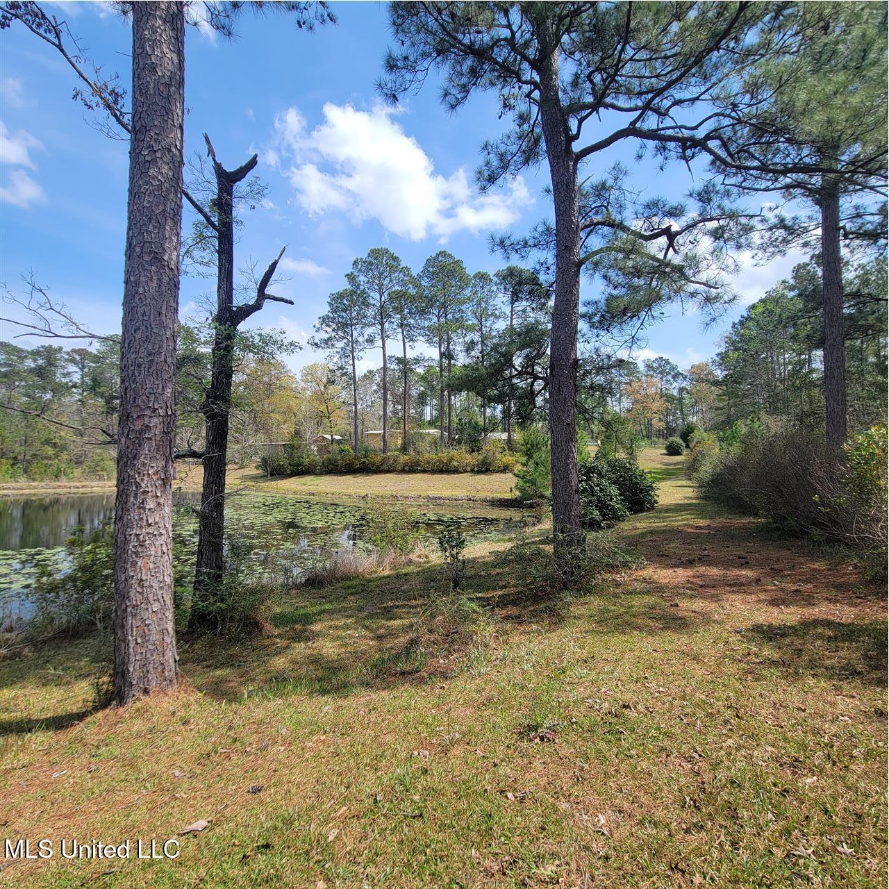202 Walker Cemetary Road, Perkinston, Mississippi image 5