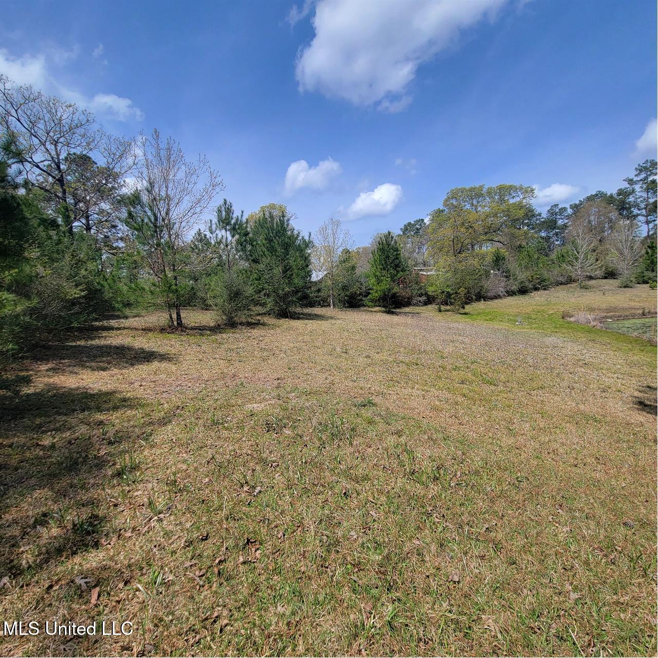 202 Walker Cemetary Road, Perkinston, Mississippi image 7