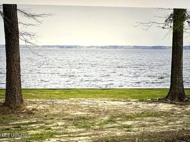 Lot 23 Neptune Shore, Canton, Mississippi image 12