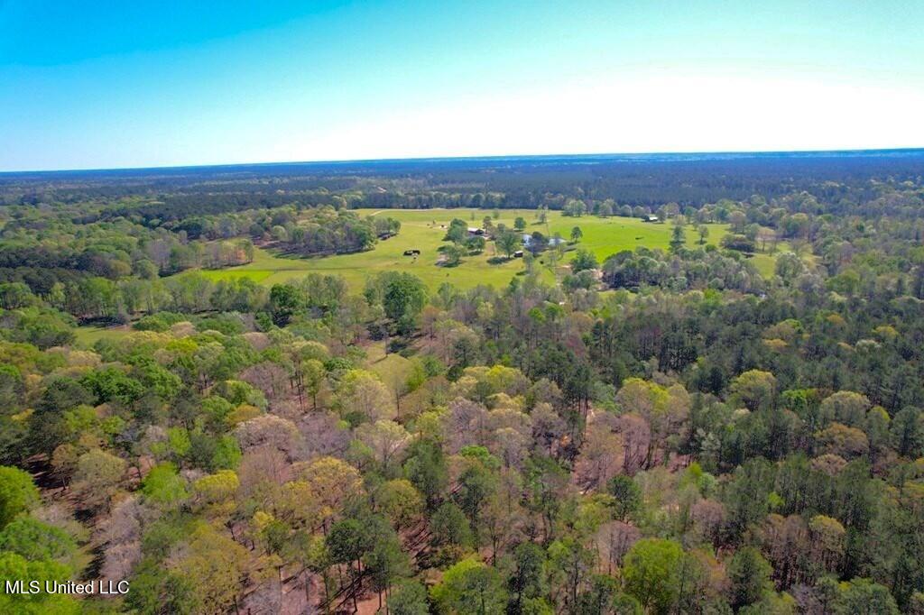 2423 Greensburg Road, Liberty, Mississippi image 38