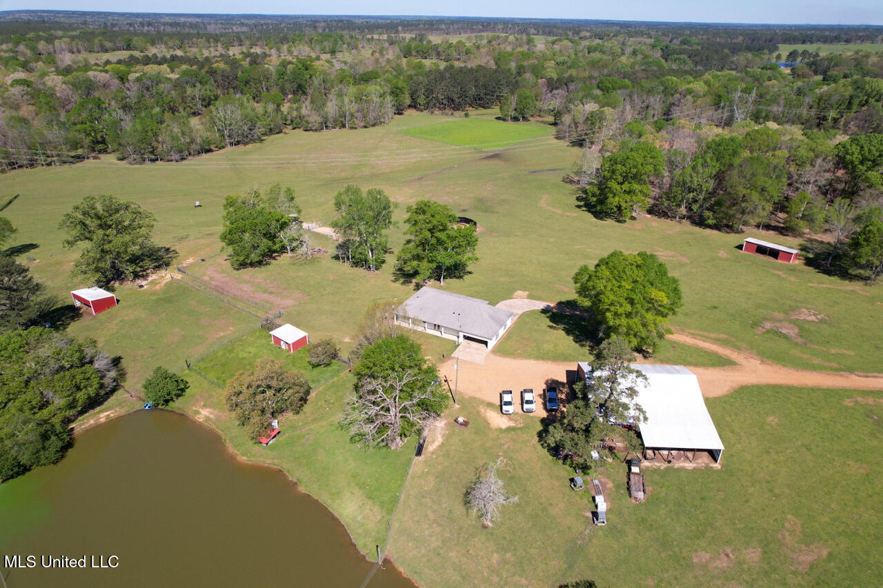 2423 Greensburg Road, Liberty, Mississippi image 1