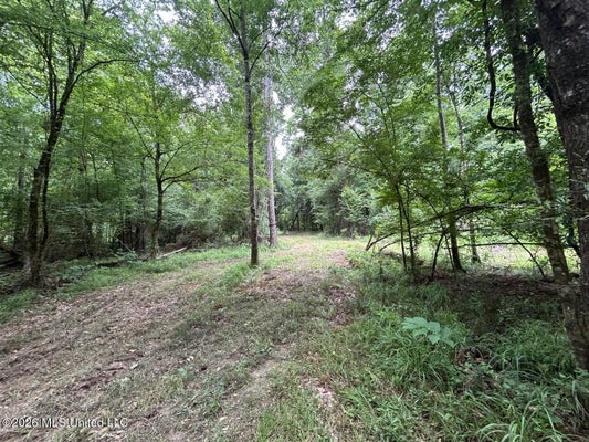 6642 GRANGE HALL RD, OSYKA, MS 39657 - Image 2b2d9b7b72a63d0e5e191848330c0e33/1728449459