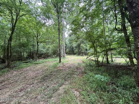 Vacant Land For Sale - 6642 Grange Hall Road<br/> Osyka, MS 39657