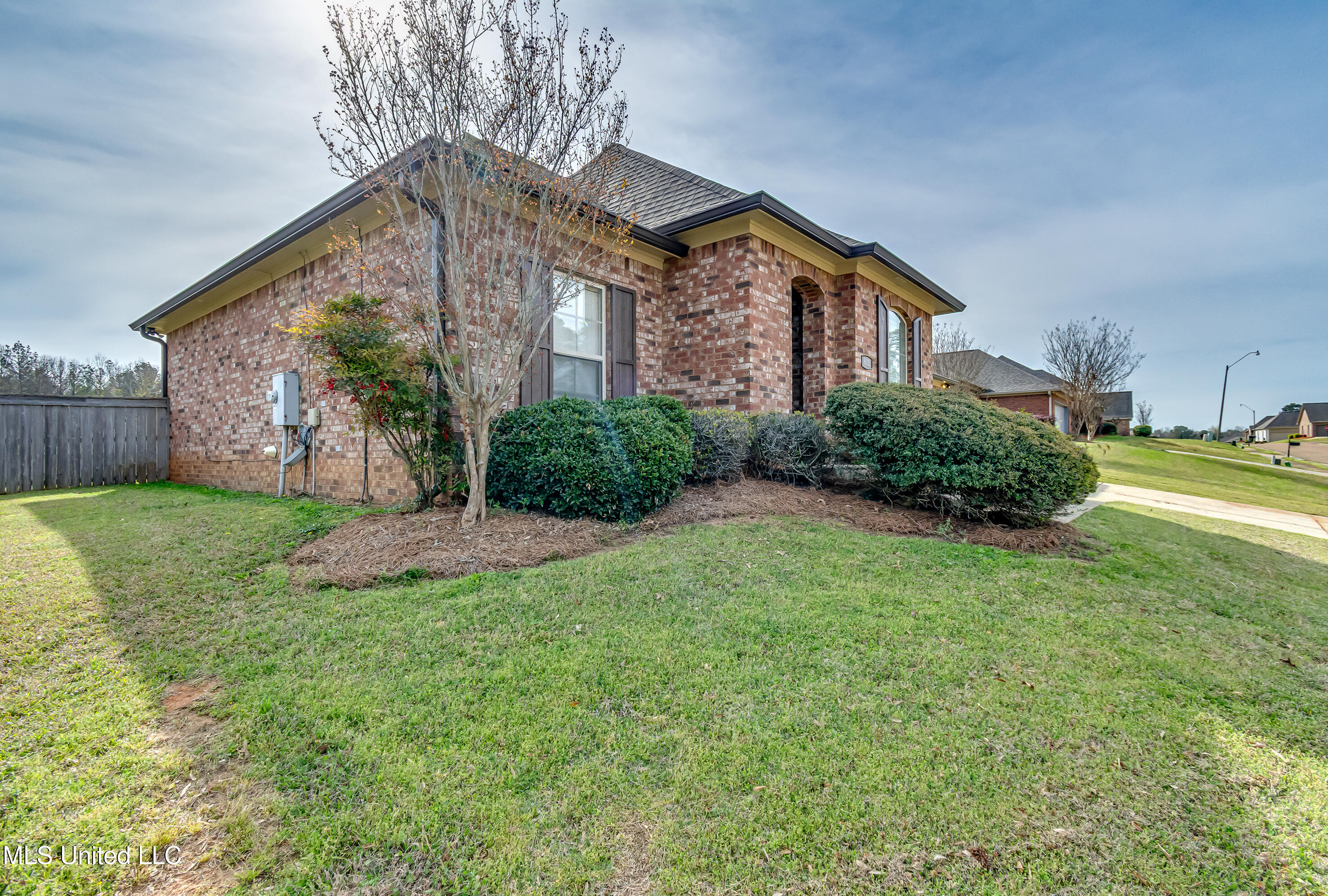 812 Willow Grande Circle, Brandon, Mississippi image 3