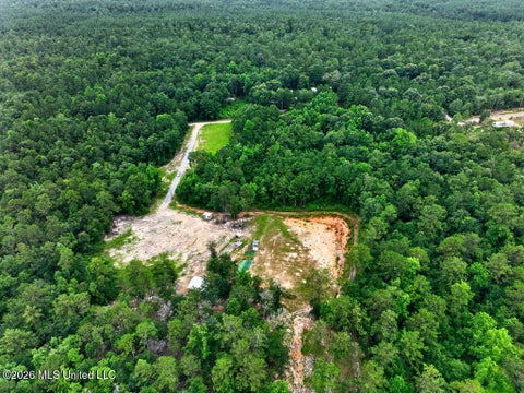 Vacant Land For Sale - 94 Desoto Road<br/> McHenry, MS 39561