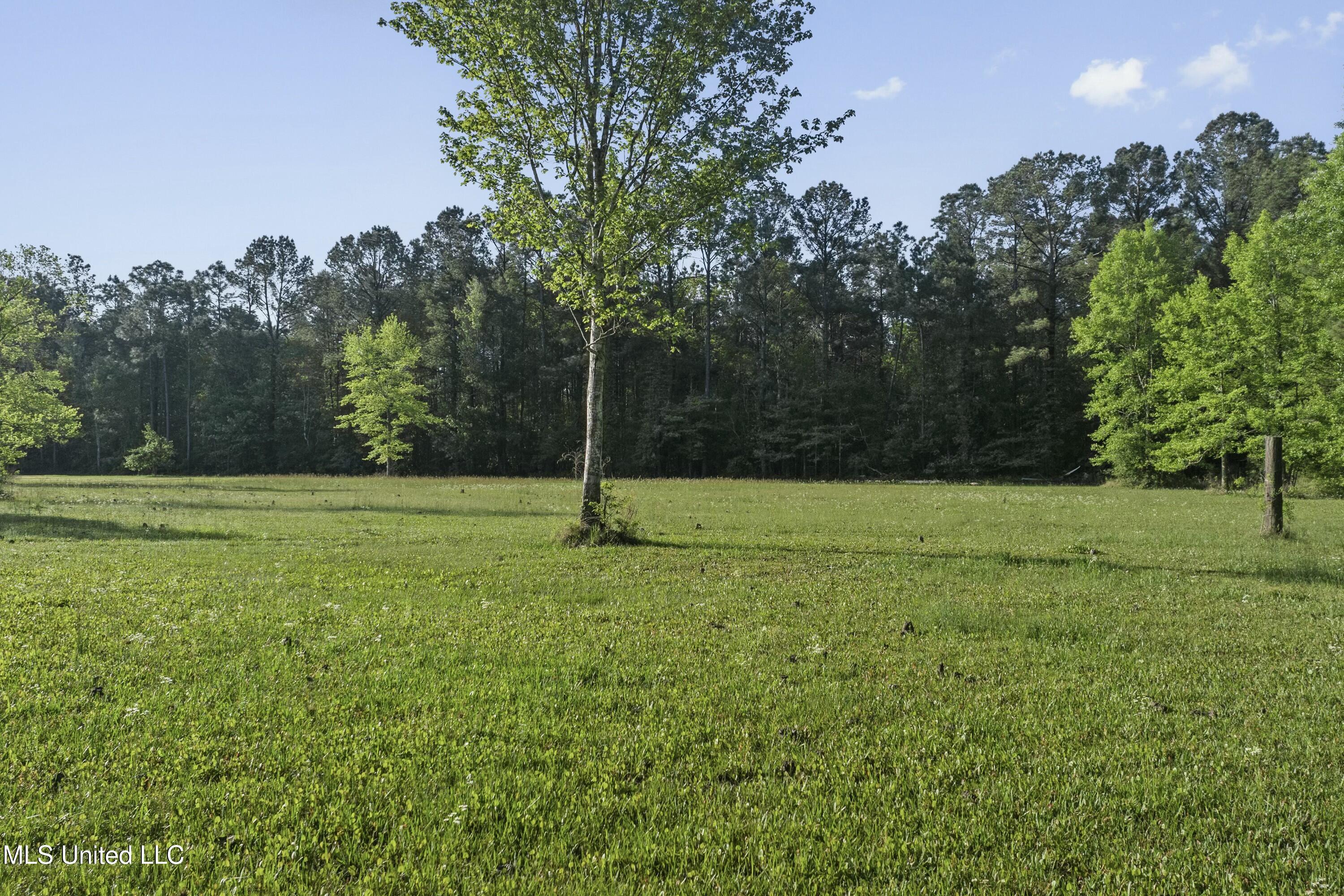 22335 Freddie Frank Road, Long Beach, Mississippi image 42