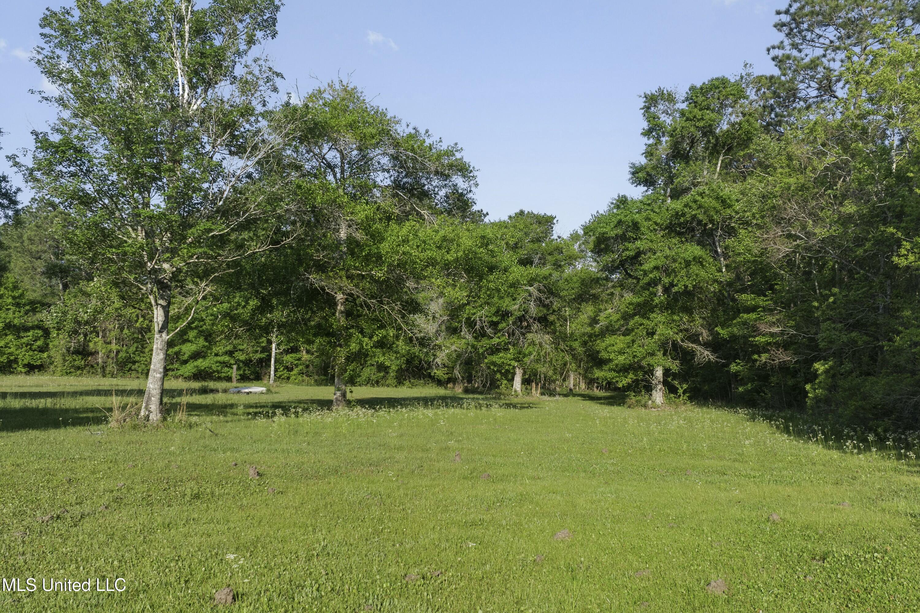 22335 Freddie Frank Road, Long Beach, Mississippi image 40