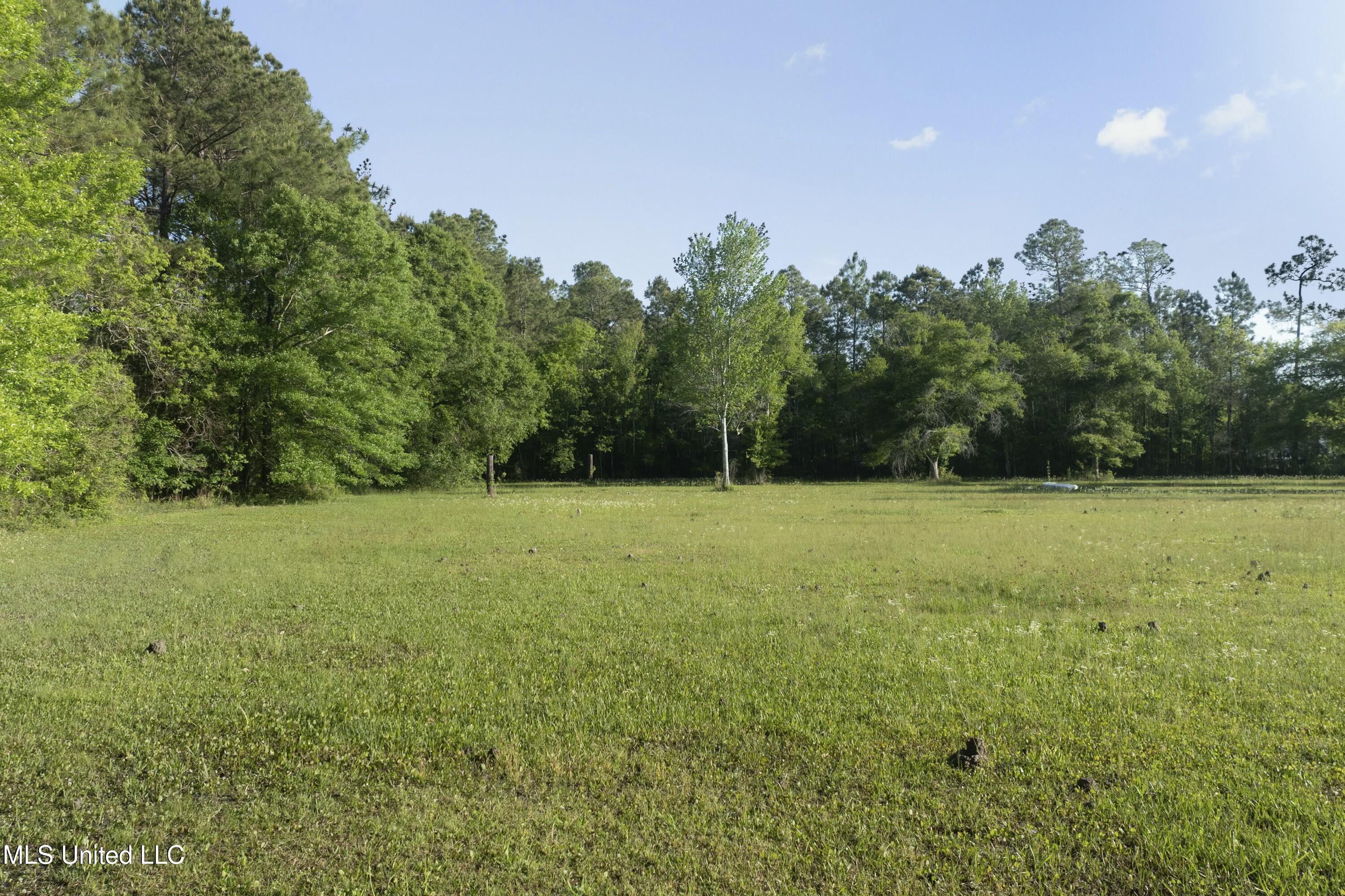 22335 Freddie Frank Road, Long Beach, Mississippi image 45