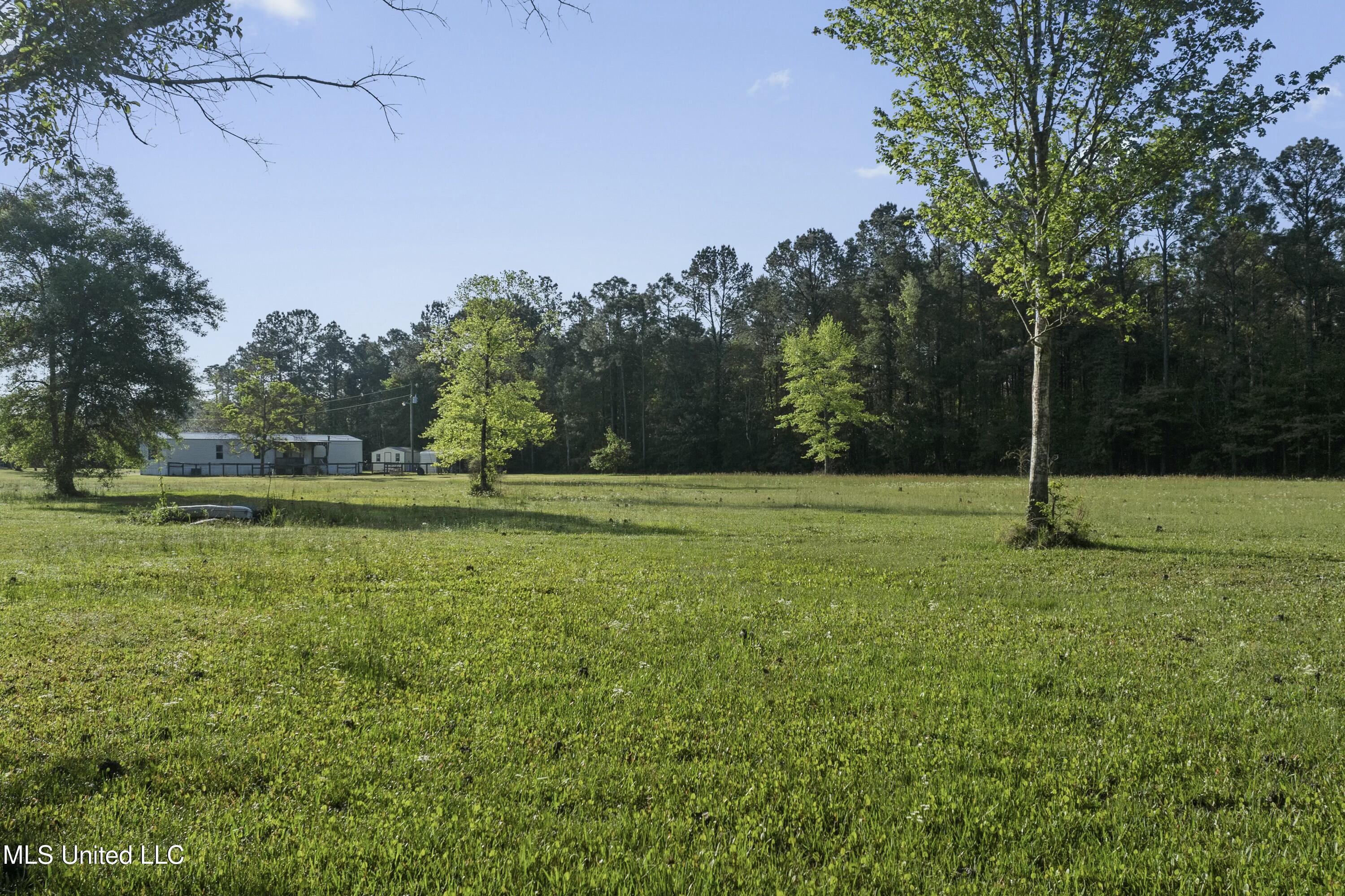 22335 Freddie Frank Road, Long Beach, Mississippi image 41