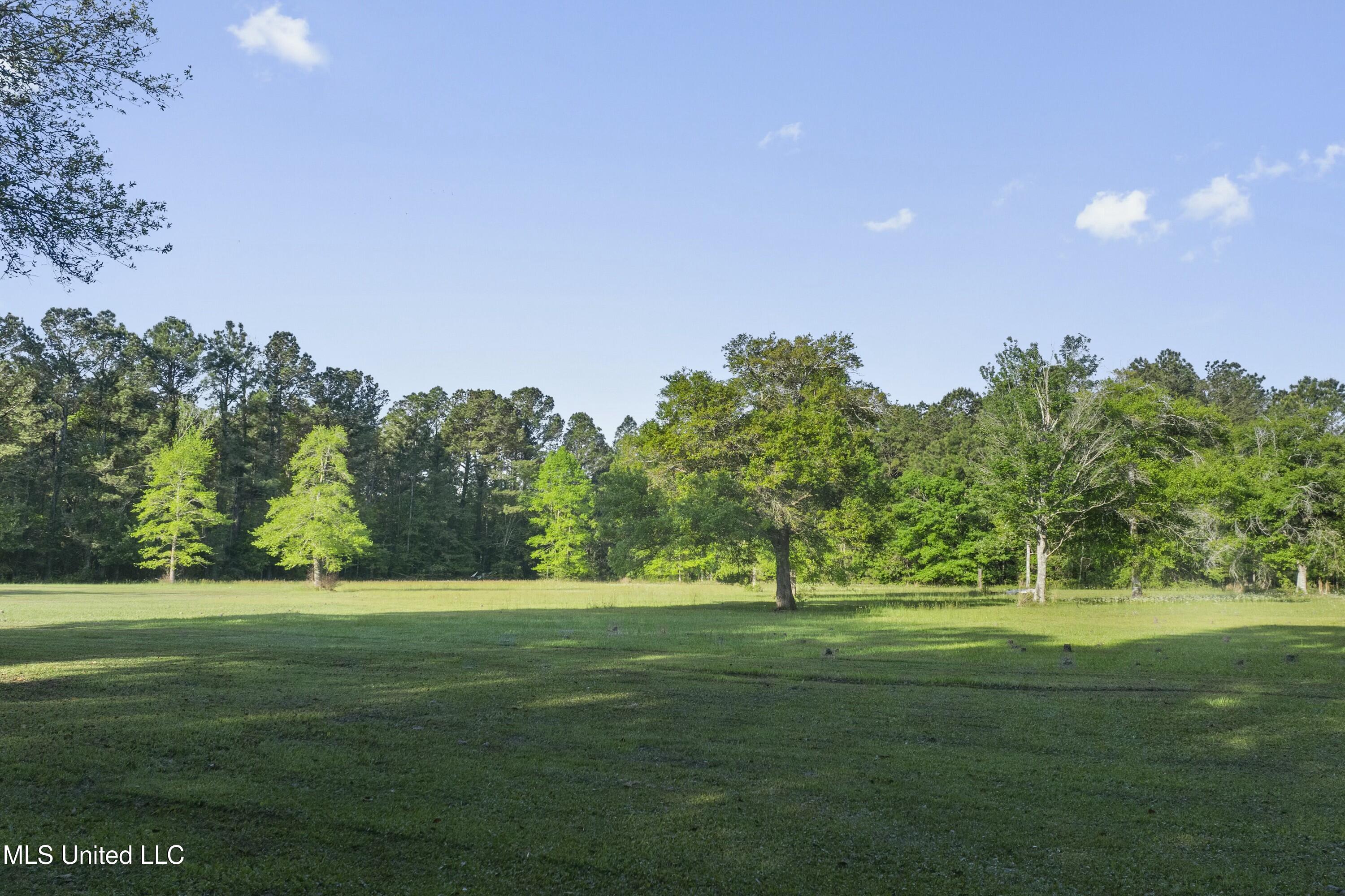 22335 Freddie Frank Road, Long Beach, Mississippi image 39