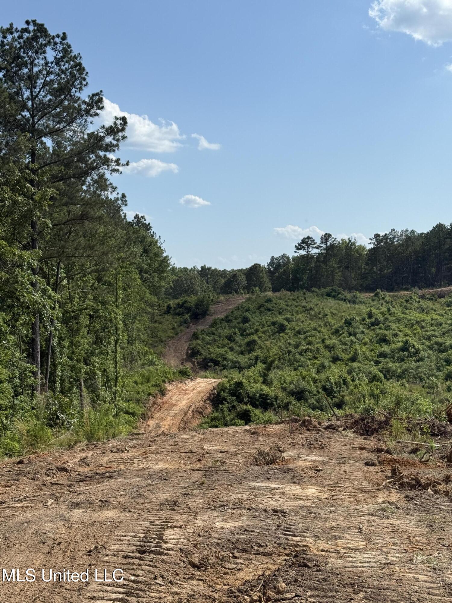 2249 Attala Road 3107, West, Mississippi image 14