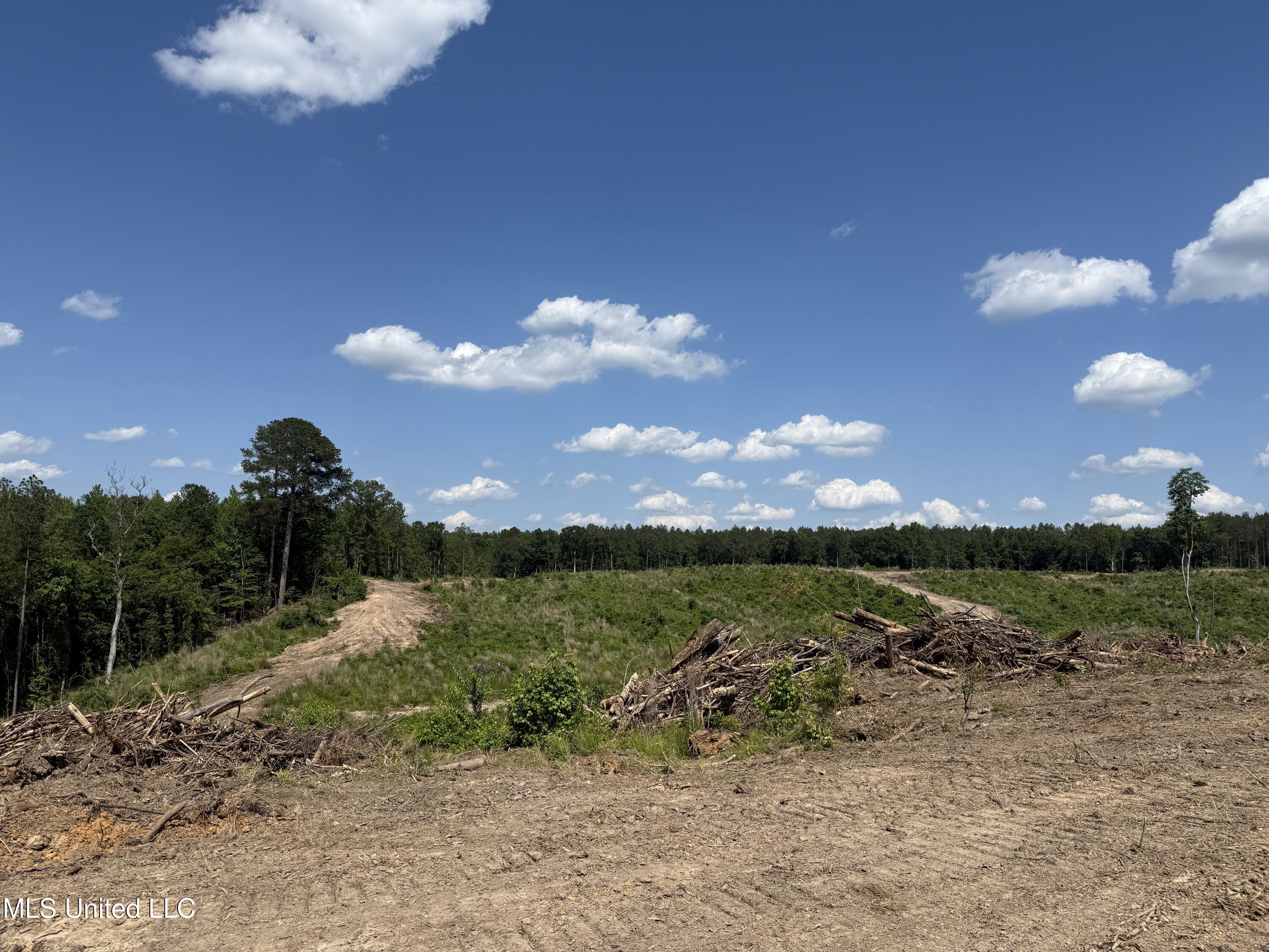 2249 Attala Road 3107, West, Mississippi image 17