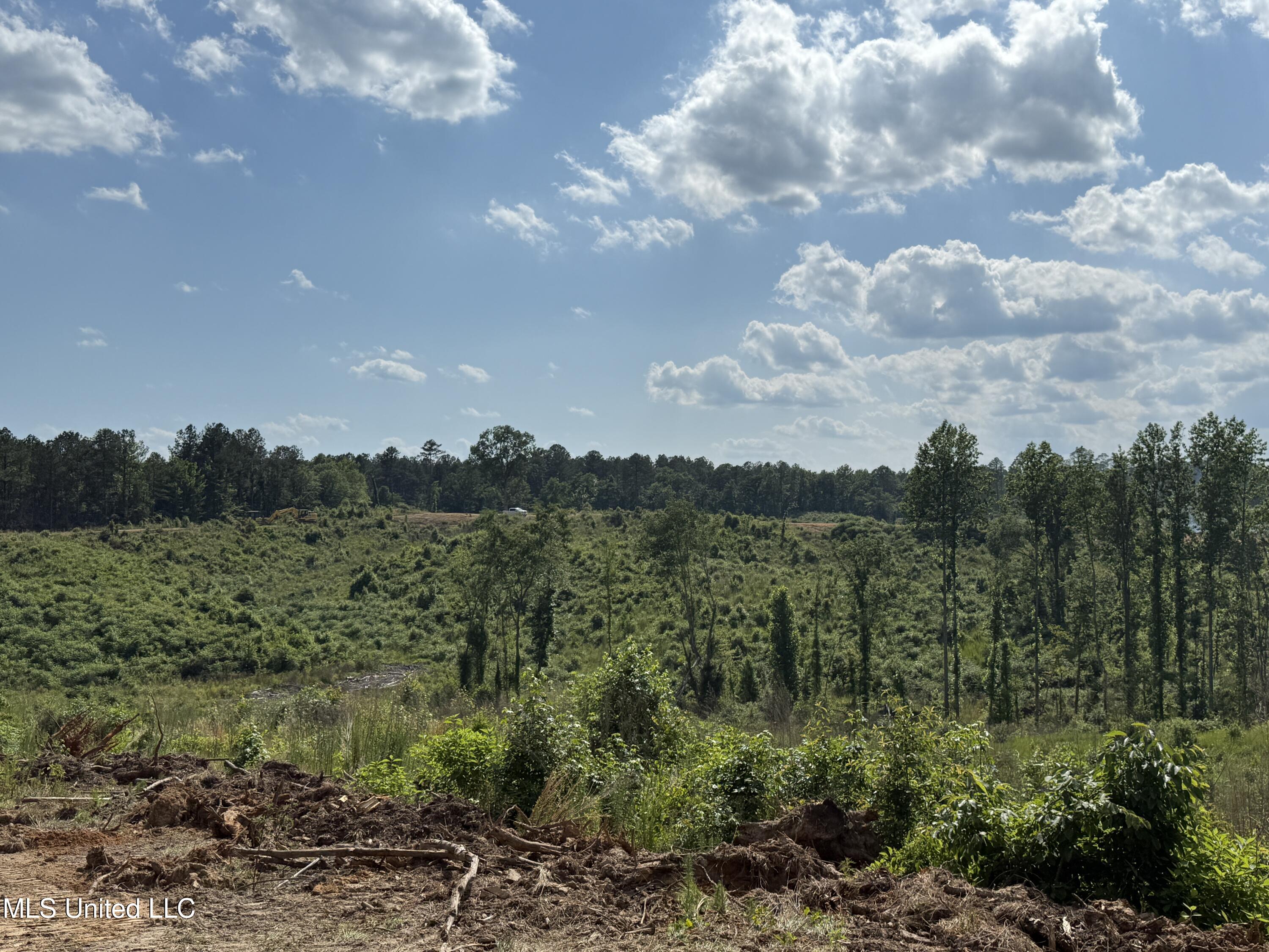 2249 Attala Road 3107, West, Mississippi image 15