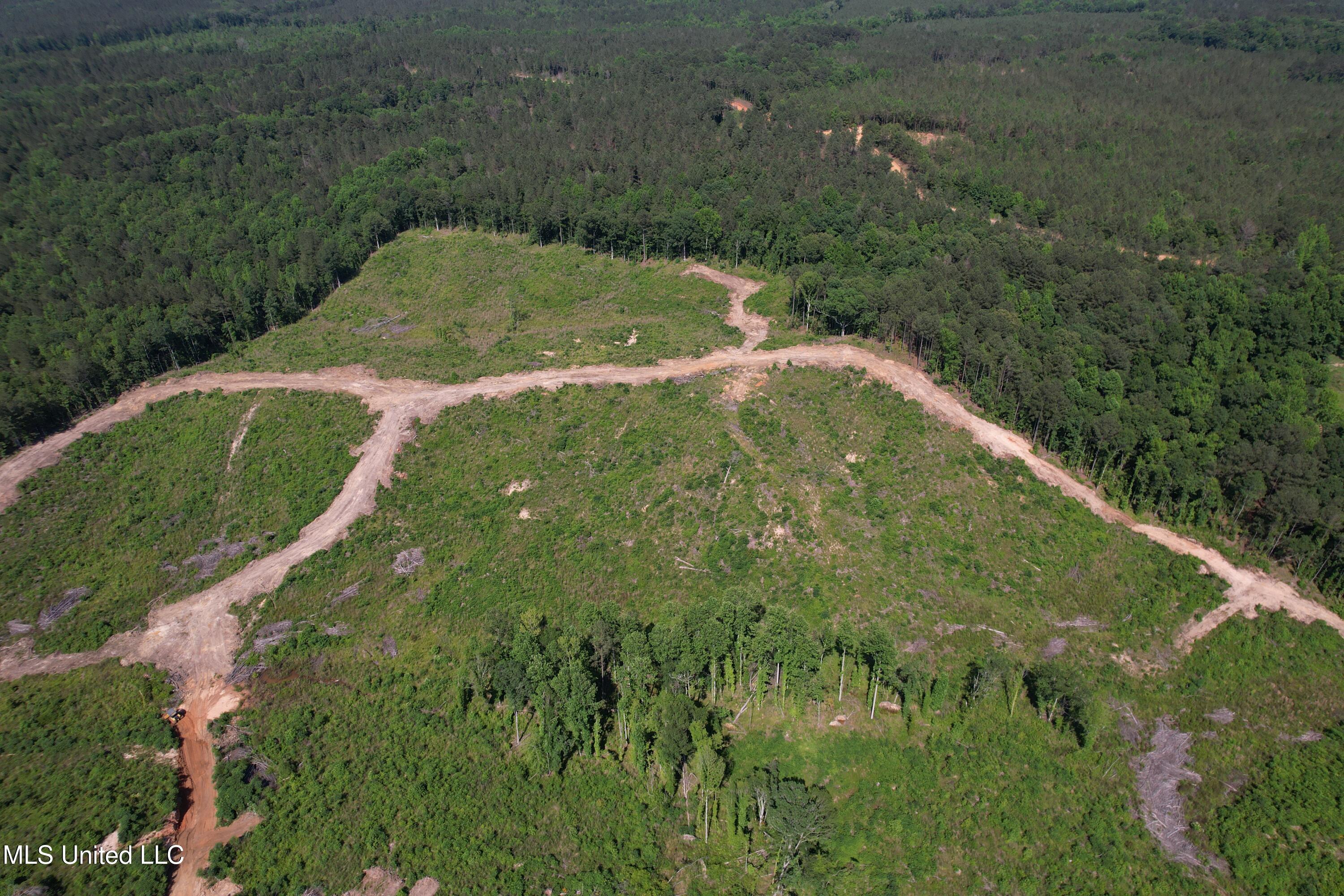 2249 Attala Road 3107, West, Mississippi image 4