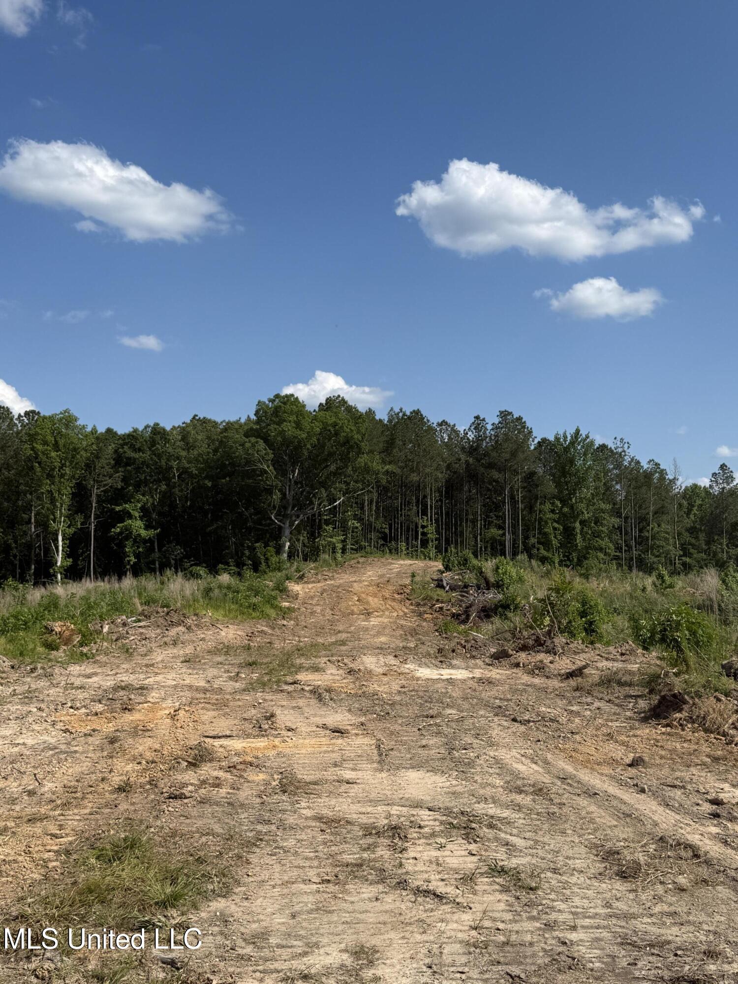 2249 Attala Road 3107, West, Mississippi image 13