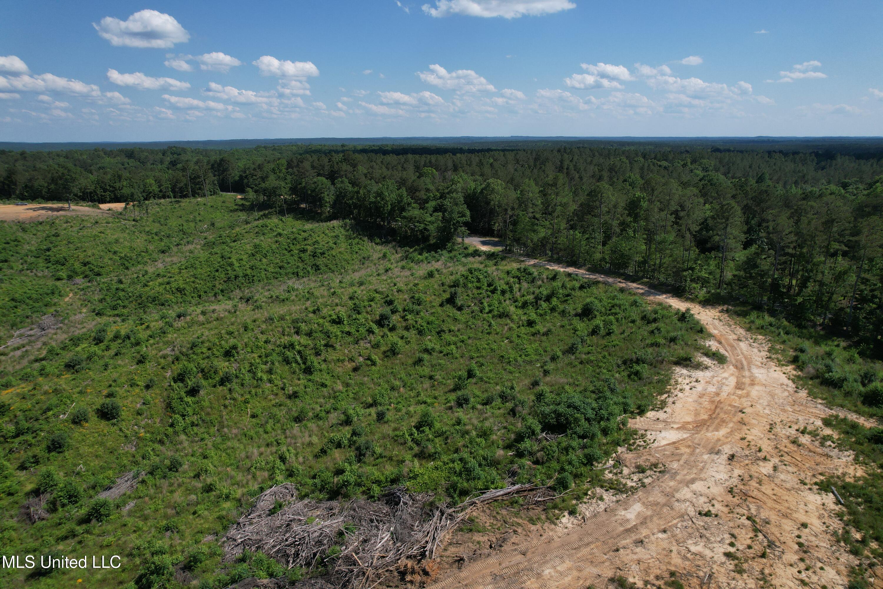 2249 Attala Road 3107, West, Mississippi image 3