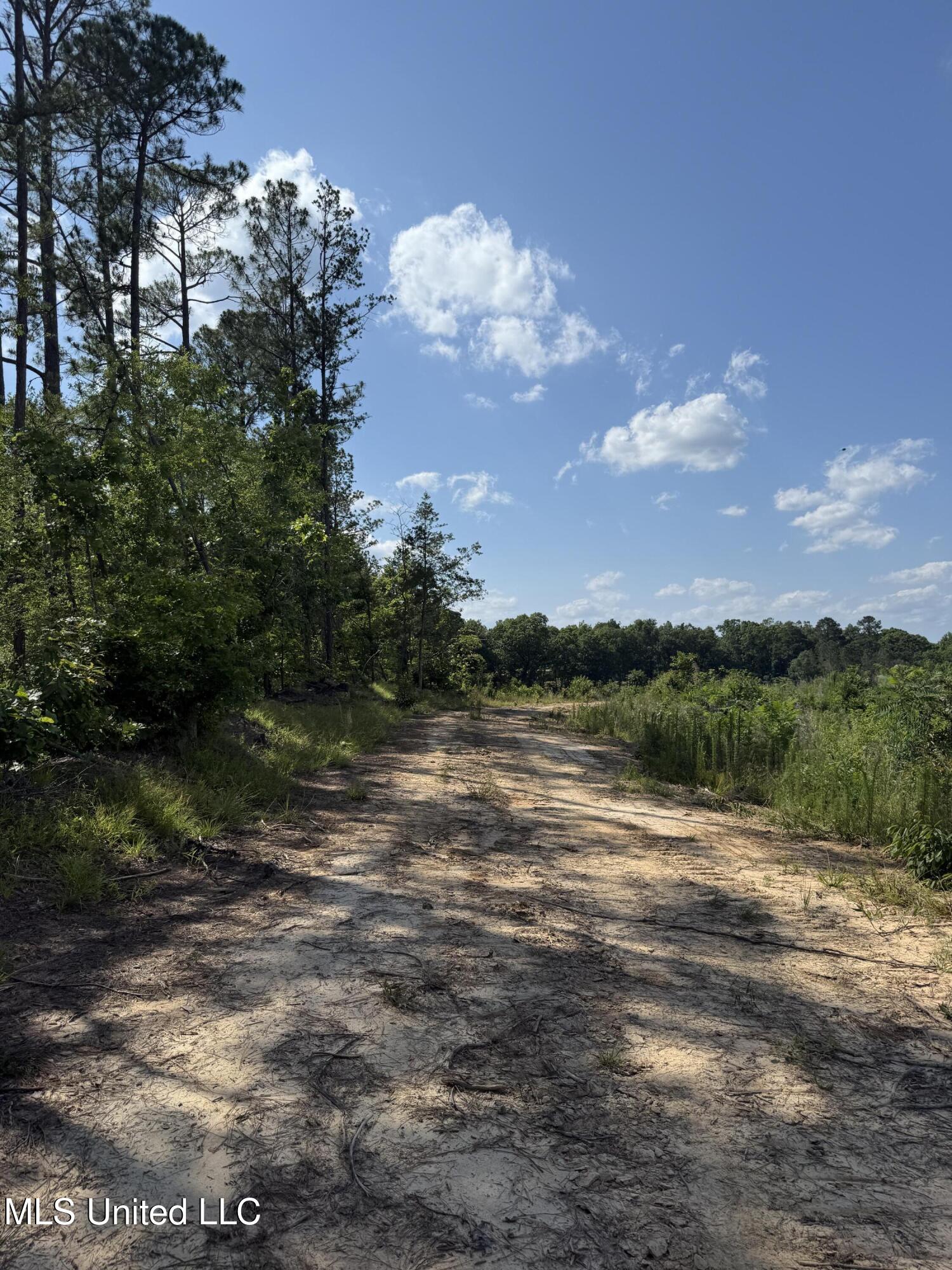 2249 Attala Road 3107, West, Mississippi image 23