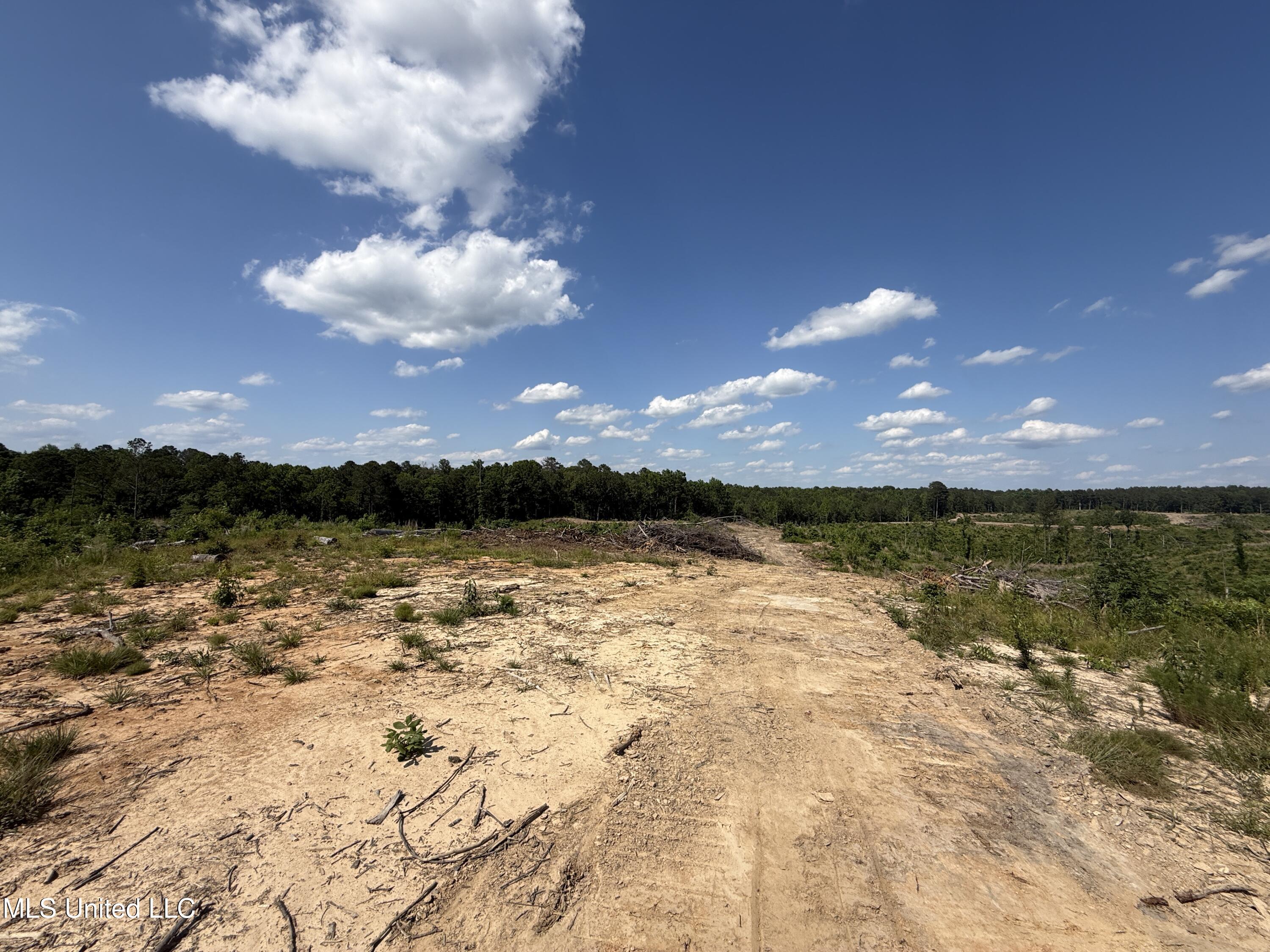 2249 Attala Road 3107, West, Mississippi image 25