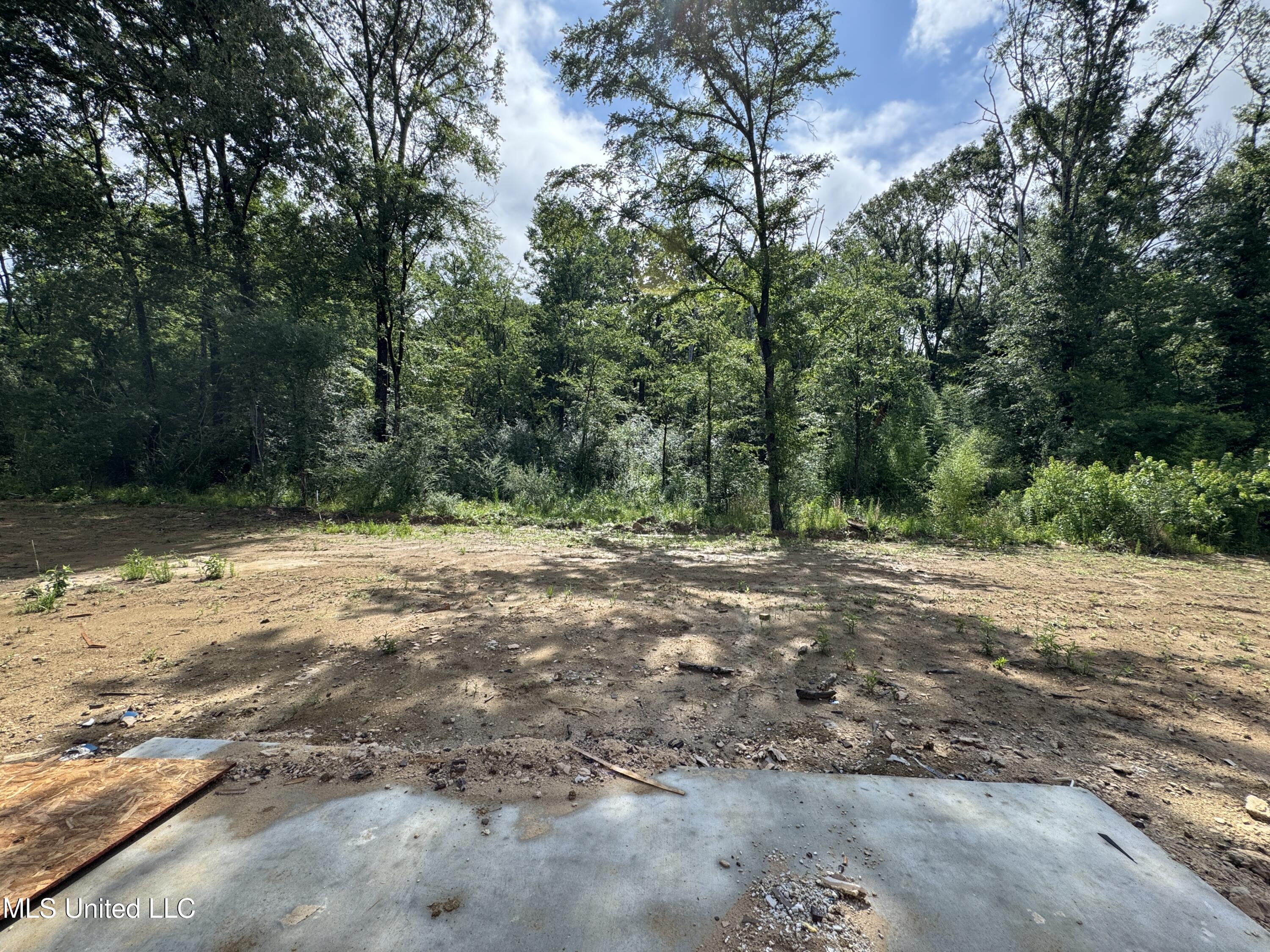 755 Magnolia Point Circle, Pearl, Mississippi image 6