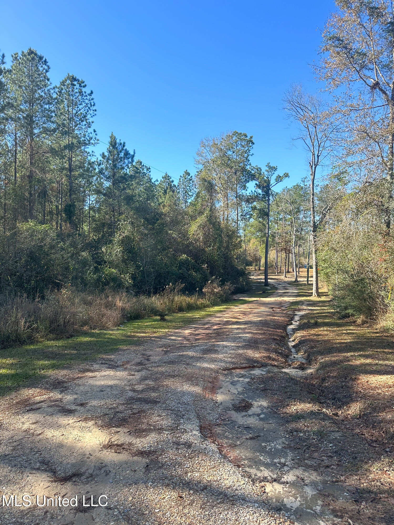 1224a Country Hill Road, Lucedale, Mississippi image 22