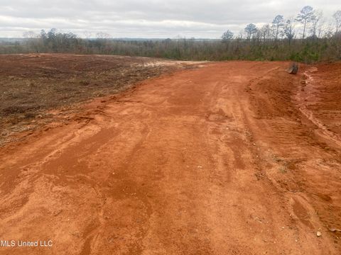 Vacant Land For Sale - Saint Anne Road<br/> Leake County, Carthage, MS 39051