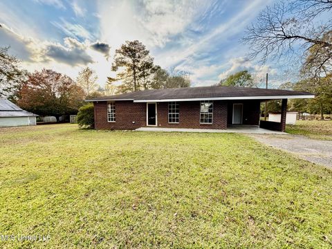 Homes For Sale - 23 Topeka Jayess Road<br/> Jayess, MS 39641